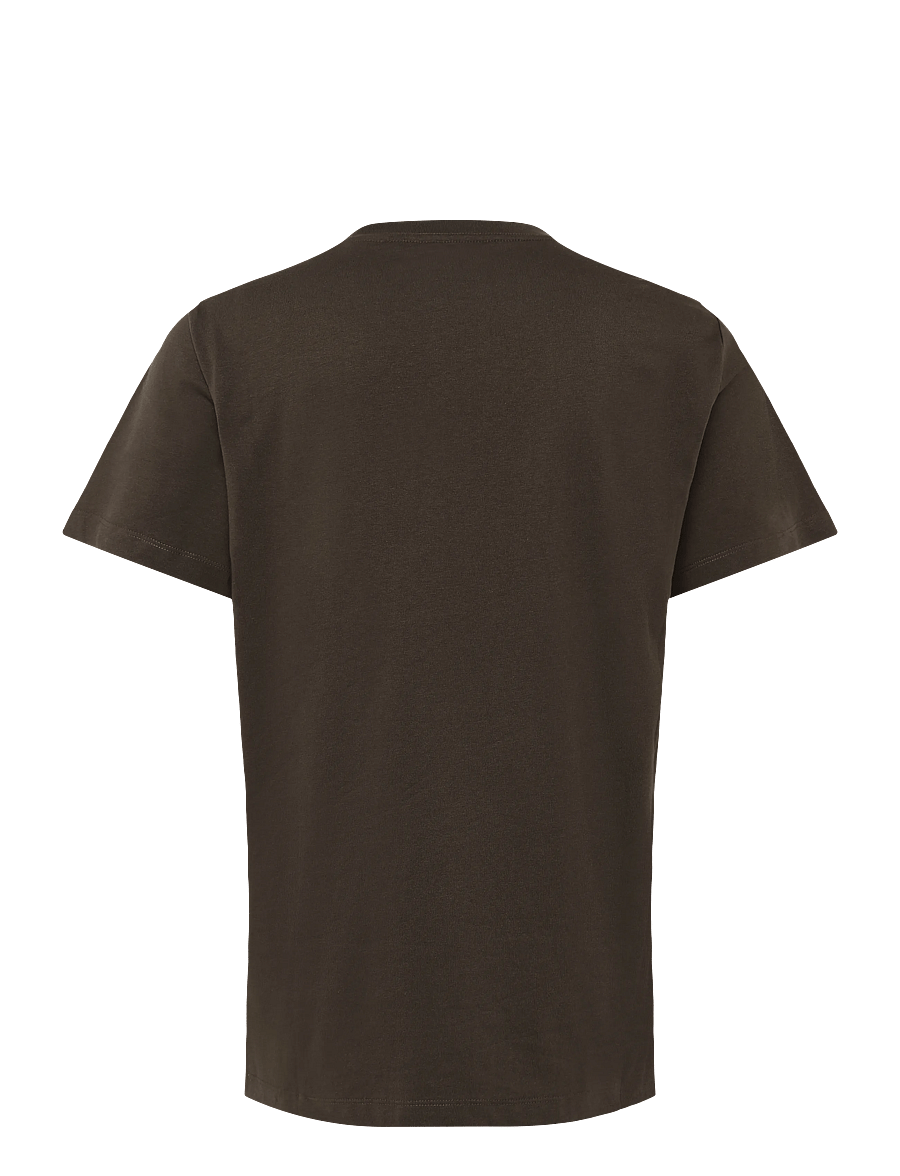 The North Face - M EVOLUTION SIMPLE DOME REGULAR SHORT SL - oberteile & t-shirts - dark chestnut - 2