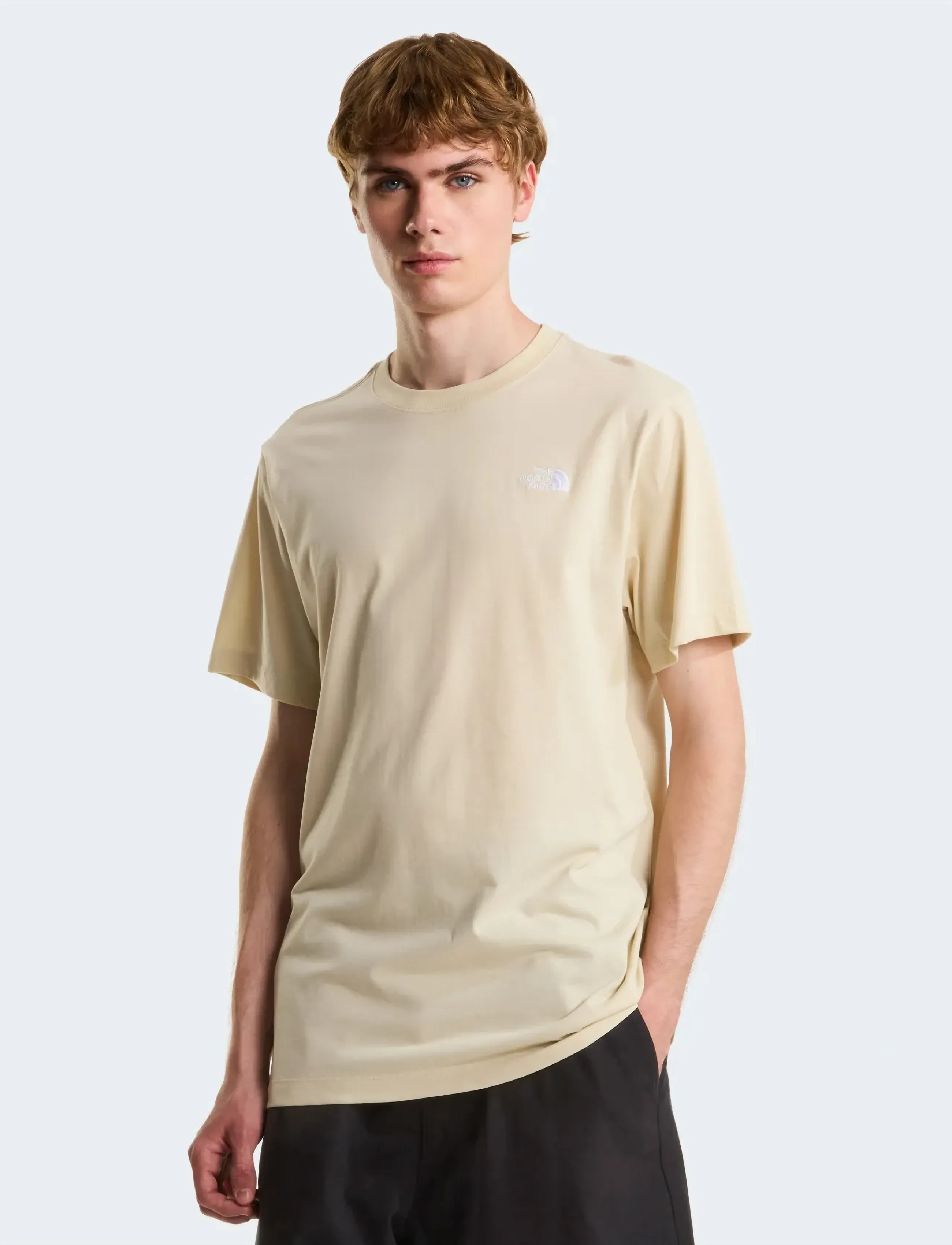 The North Face M EVOLUTION SIMPLE DOME REGULAR SHORT SL - Marškinėliai - DESERT STONE / cream