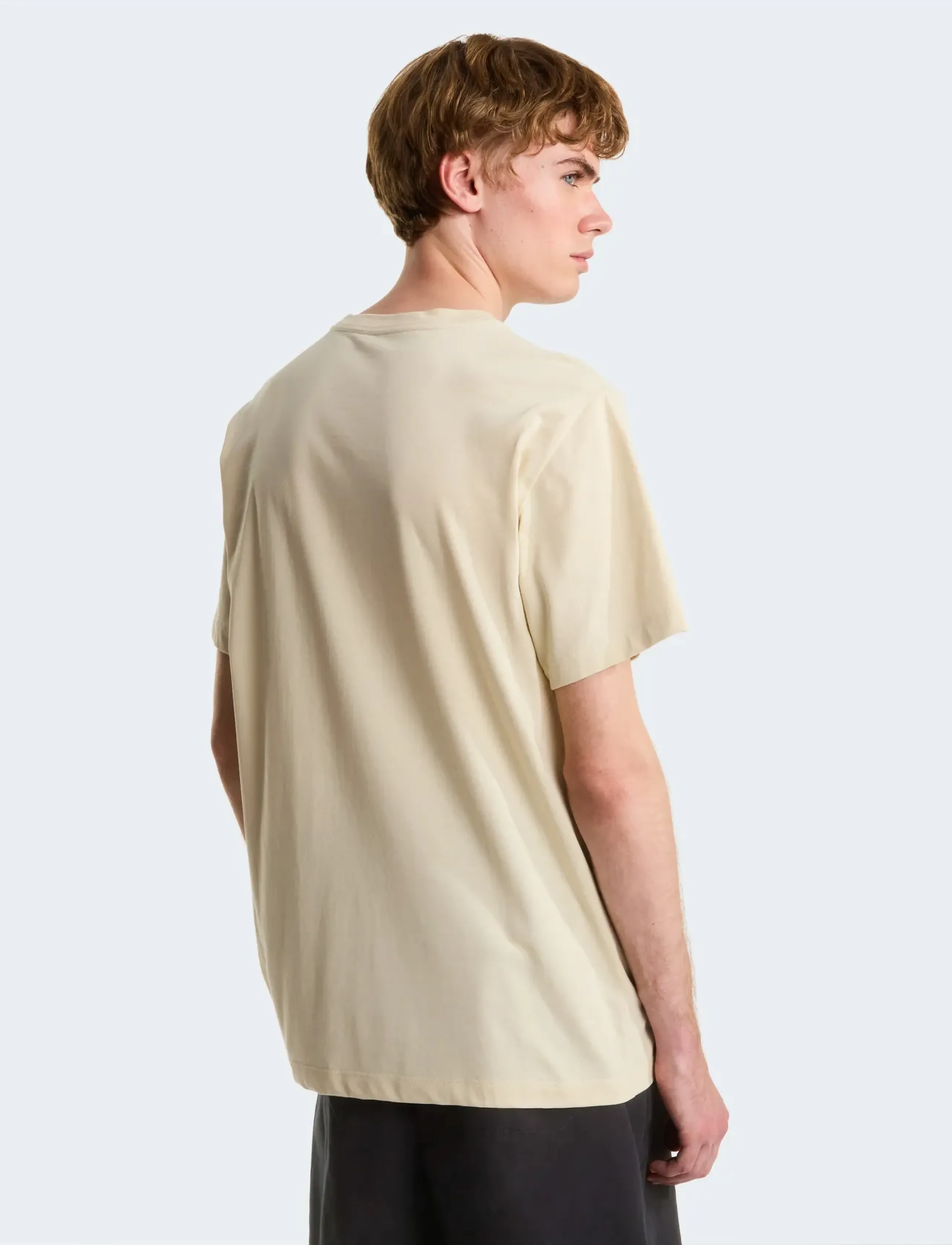 The North Face - M EVOLUTION SIMPLE DOME REGULAR SHORT SL - oberteile & t-shirts - desert stone - 5