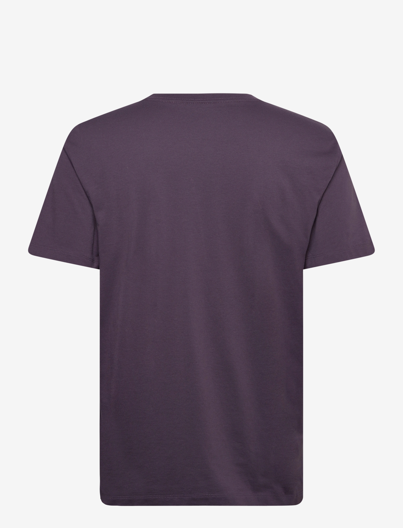 The North Face - M EVOLUTION SIMPLE DOME REGULAR SHORT SL - t-shirts - endless dusk - 2