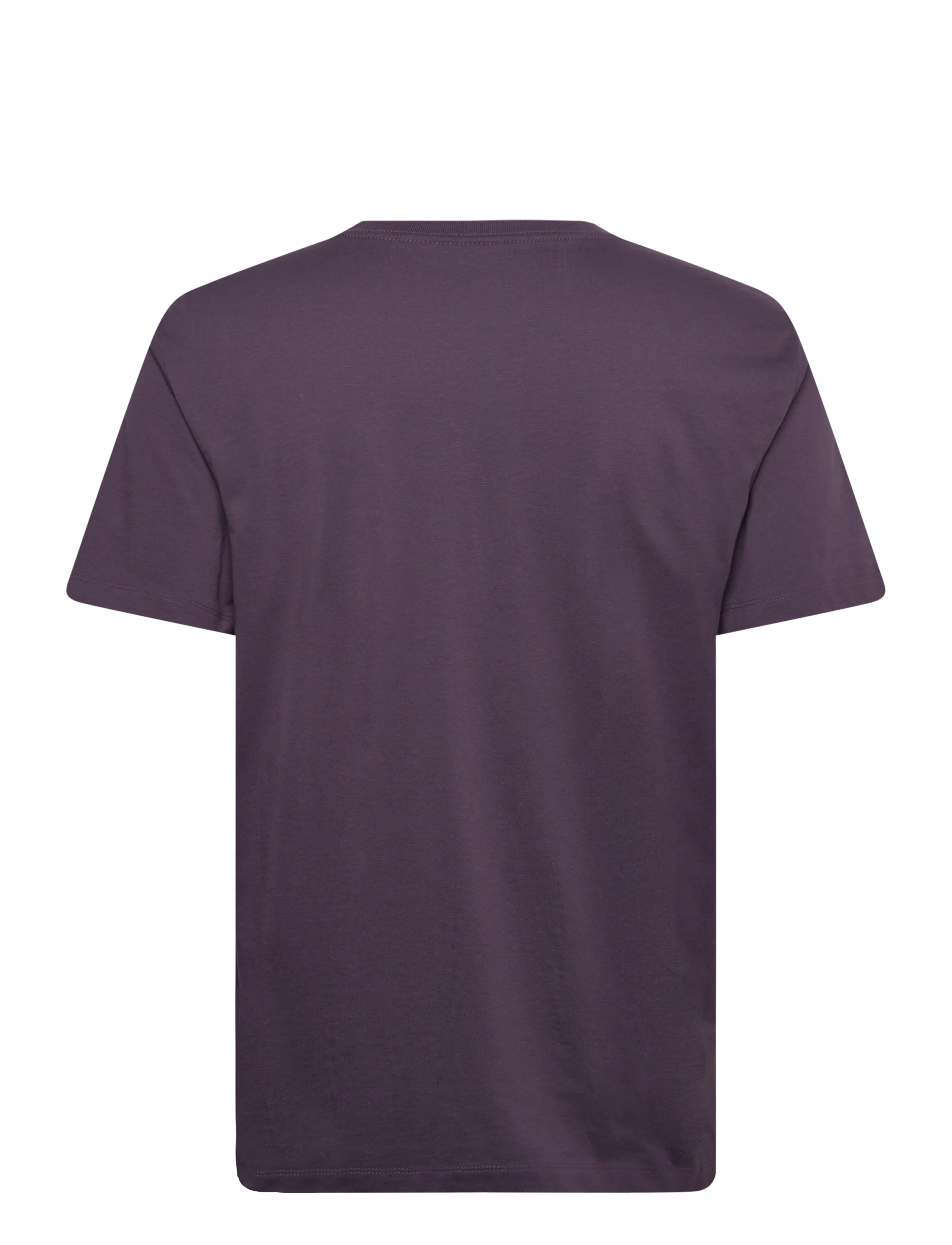 The North Face - M EVOLUTION SIMPLE DOME REGULAR SHORT SL - oberteile & t-shirts - endless dusk - 2