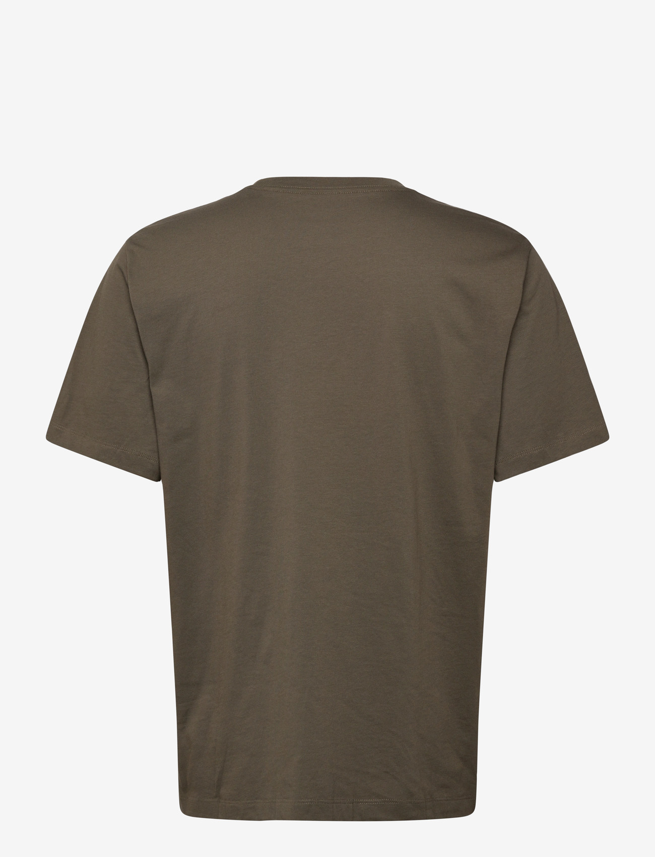 The North Face - M EVOLUTION SIMPLE DOME REGULAR SHORT SL - t-shirts - new taupe green - 2