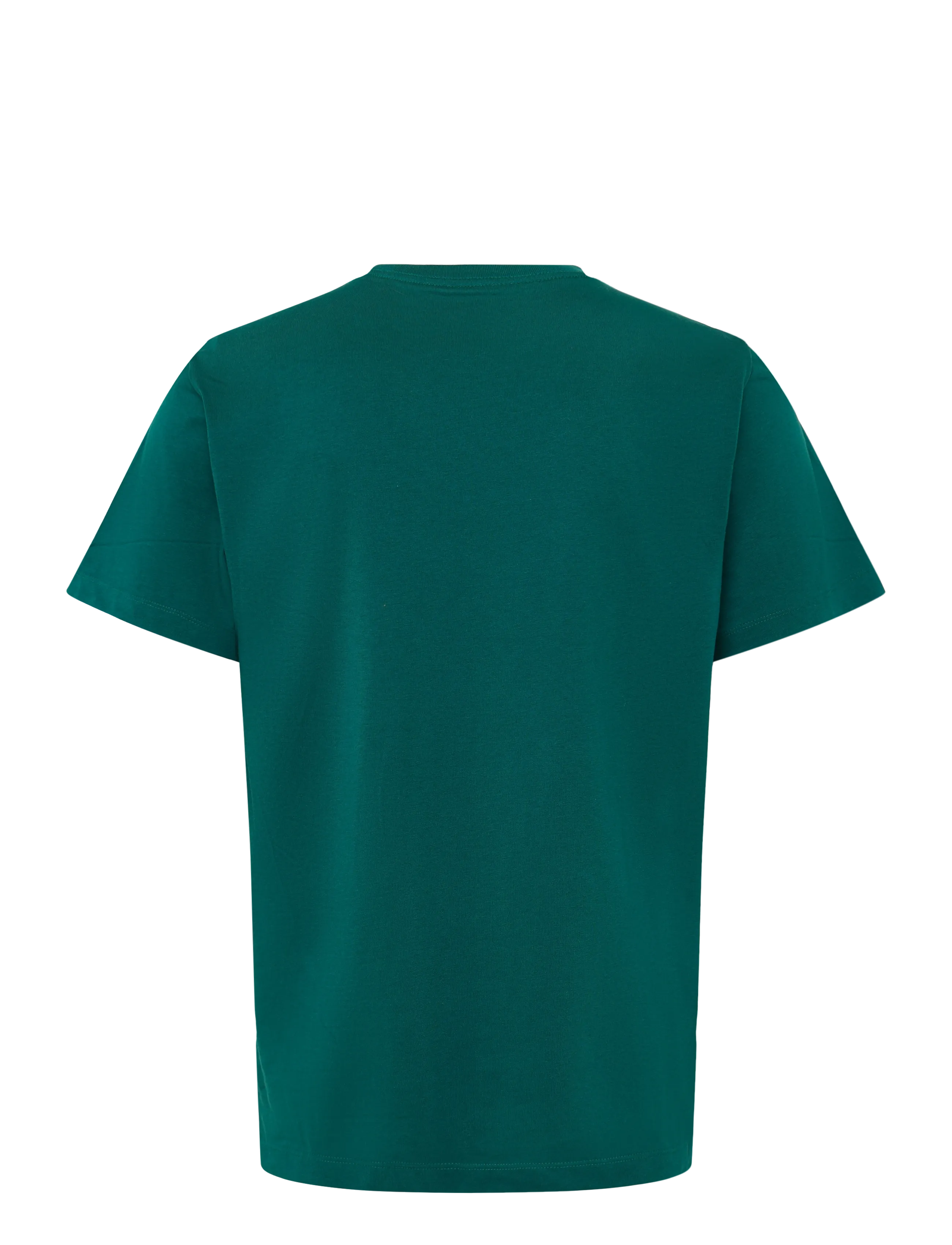 The North Face - M EVOLUTION SIMPLE DOME REGULAR SHORT SL - t-shirts - pacific teal - 2