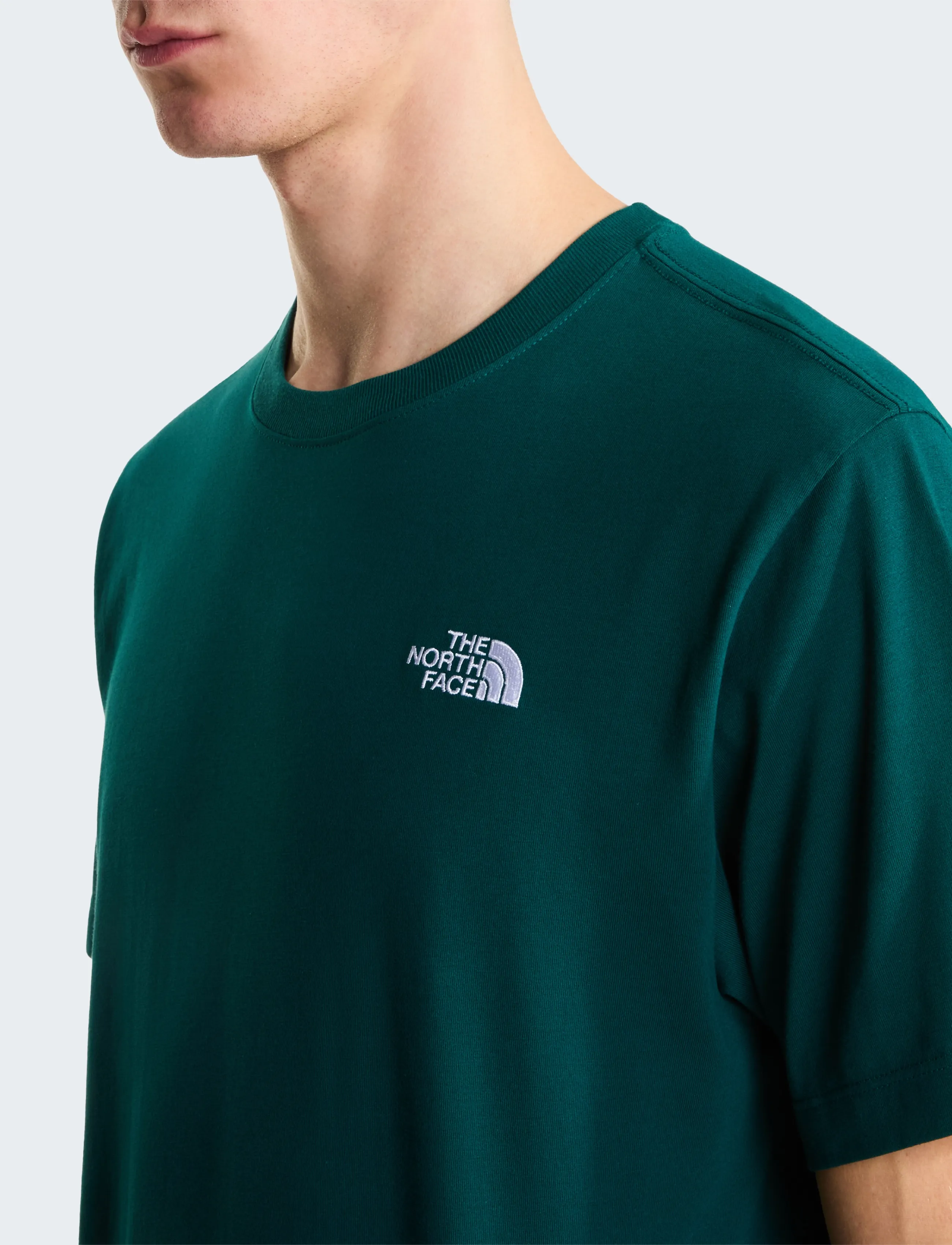 THE NORTH FACE M Evolution Simple Dome Regular Short Sl t-shirts - bas herr – bild 5