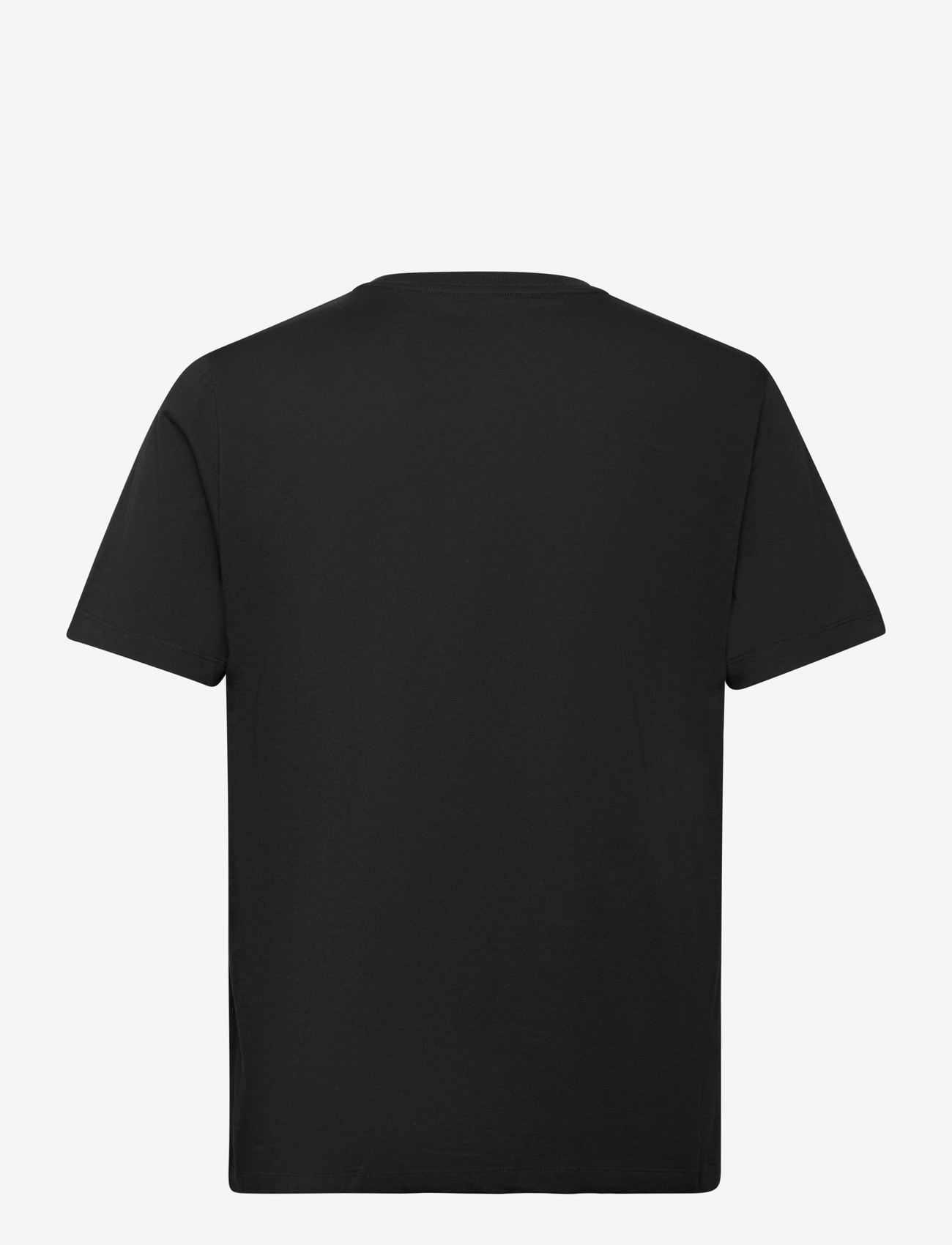 The North Face - M EVOLUTION SIMPLE DOME REGULAR SHORT SL - oberteile & t-shirts - tnf black - 2