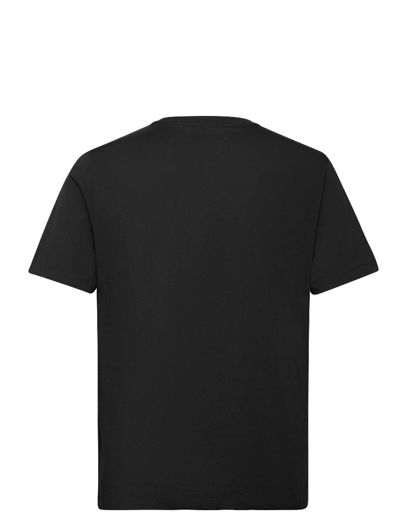 The North Face - M EVOLUTION SIMPLE DOME REGULAR SHORT SL - oberteile & t-shirts - tnf black - 2