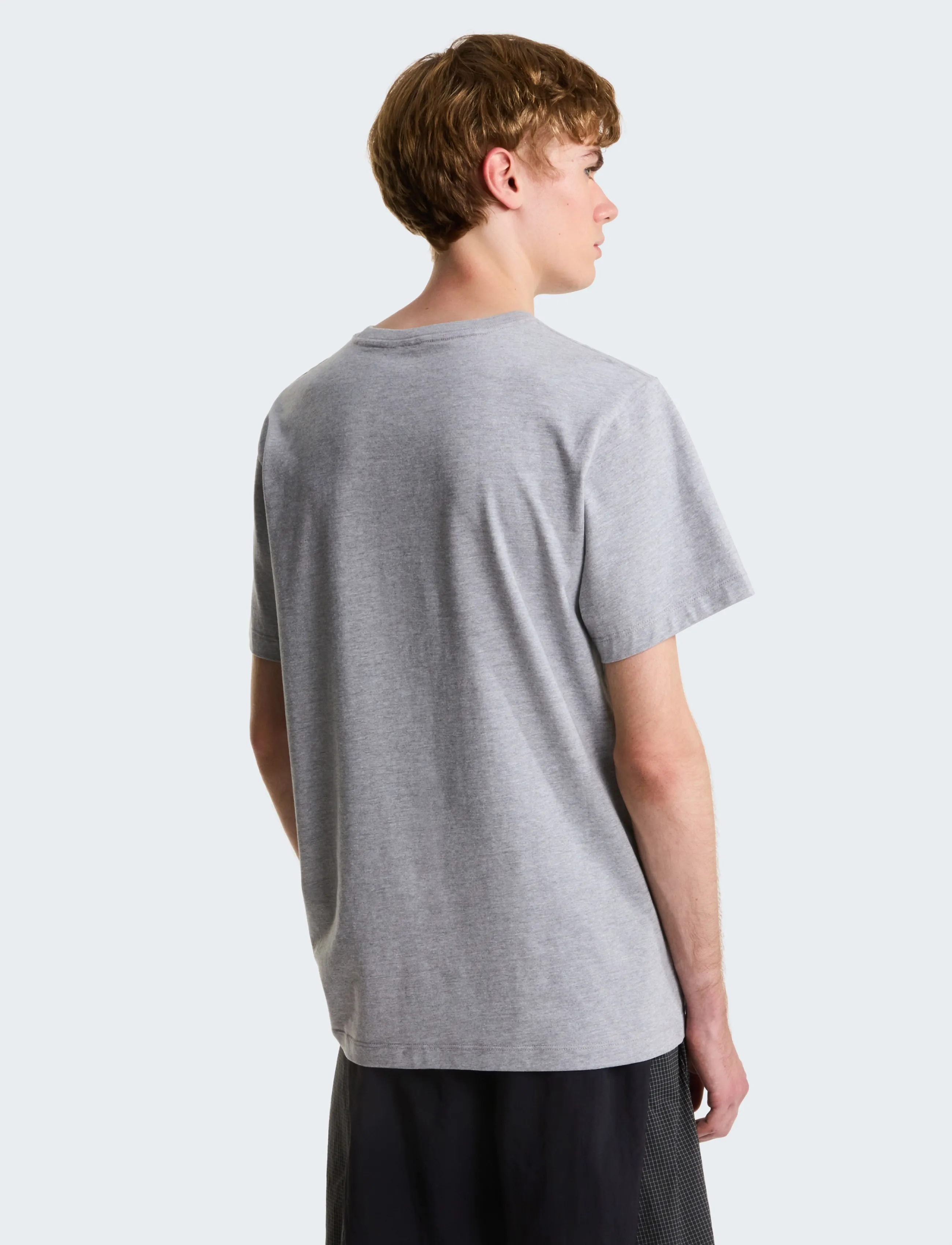 The North Face - M EVOLUTION SIMPLE DOME REGULAR SHORT SL - tops & t-shirts - tnf pale grey heather - 5