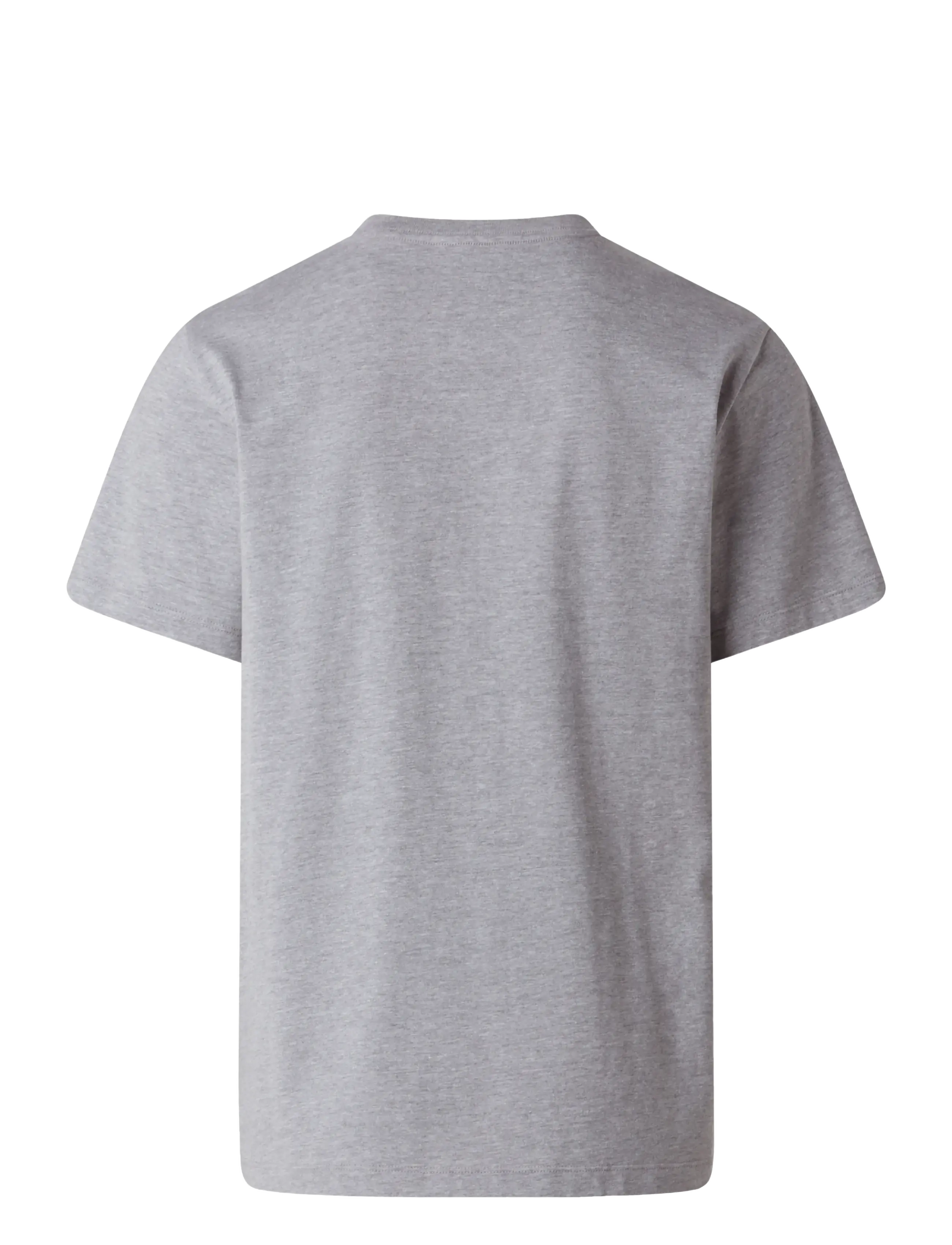 The North Face - M EVOLUTION SIMPLE DOME REGULAR SHORT SL - tops & t-shirts - tnf pale grey heather - 2