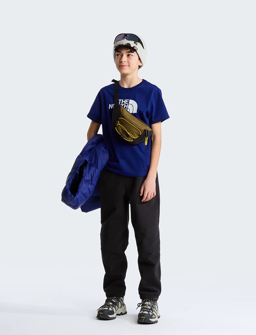 The North Face - TEEN EVOLUTION HALF DOME SS TEE - sporditopid - bold blue - 3