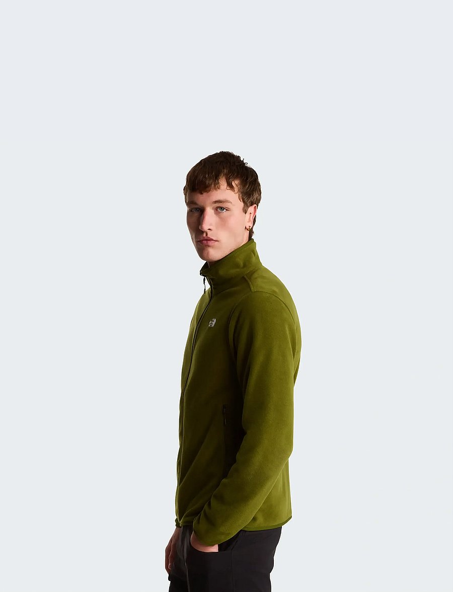 The North Face - M GLACIER FLEECE JACKET - kampsunid ja vahekihid - woodland green - 4