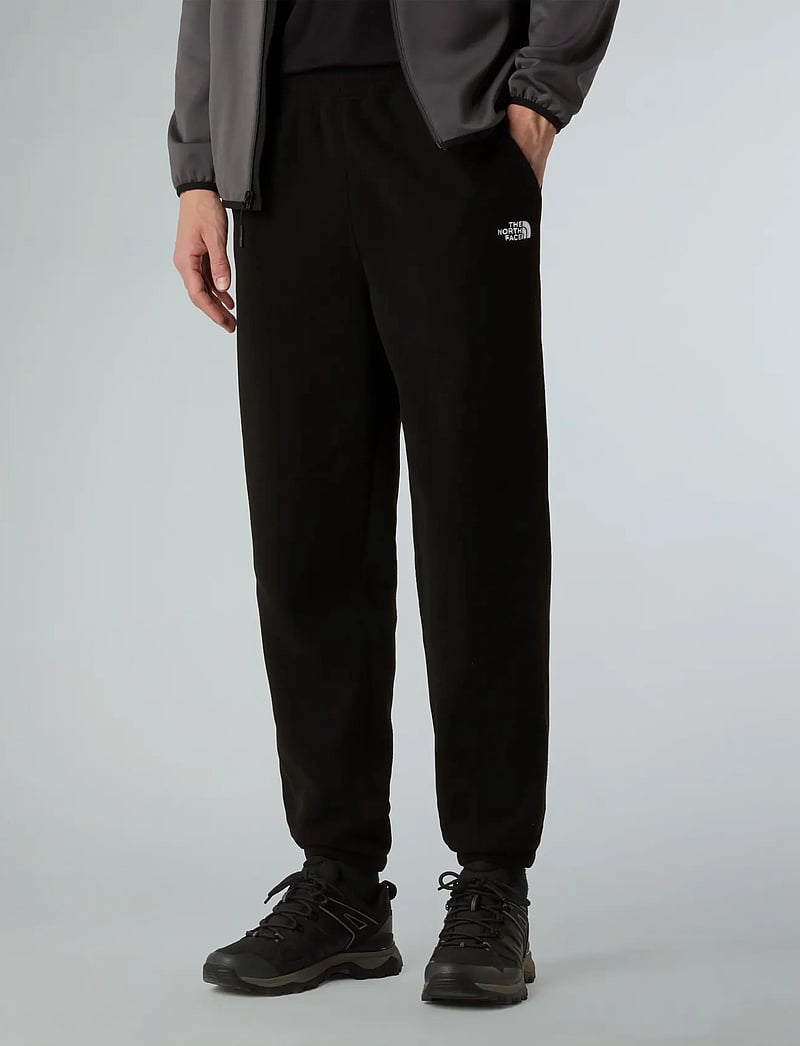 The North Face - M GLACIER FLEECE PANT - outdoorhosen - tnf black - 0