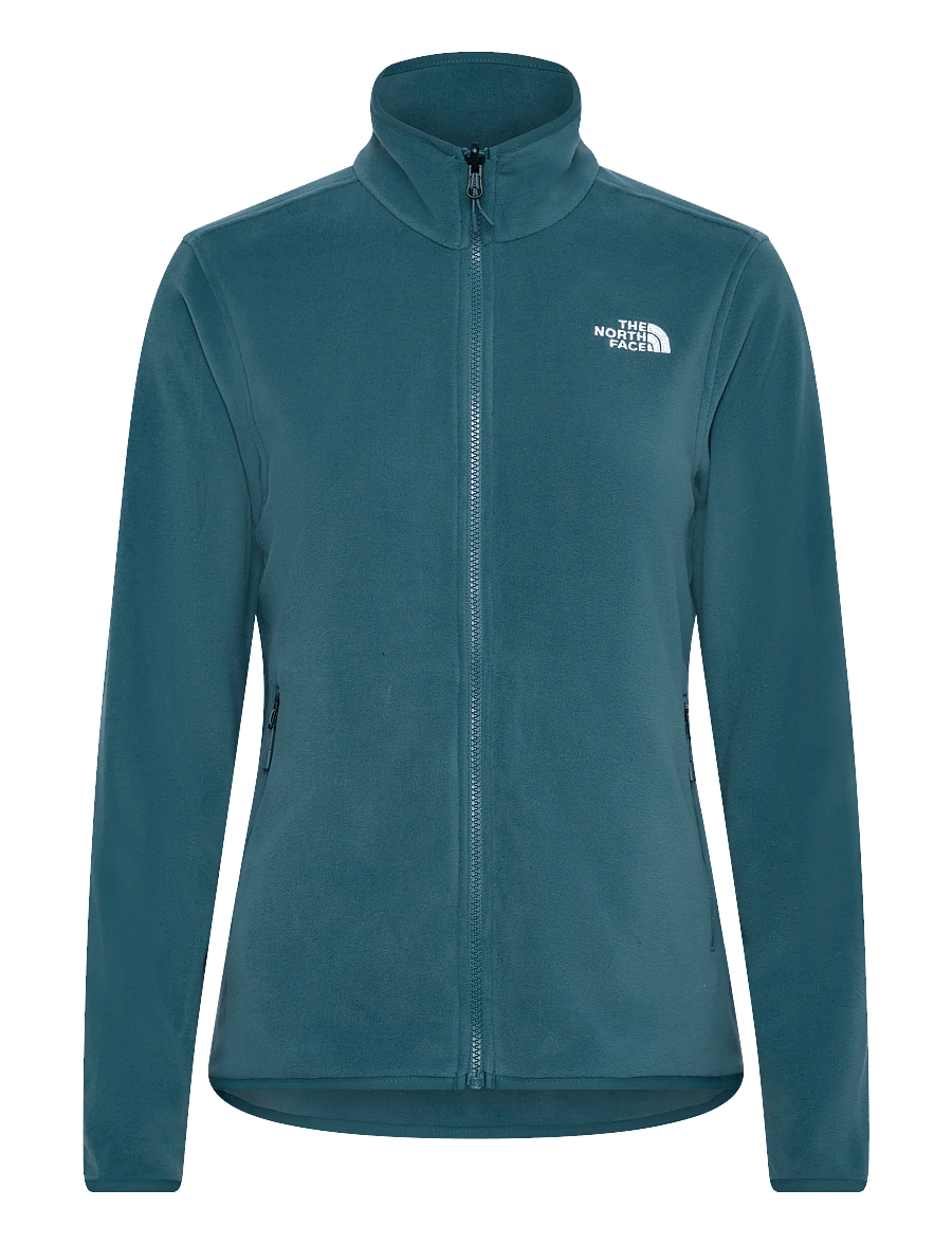 The North Face - W GLACIER FLEECE JACKET - oberteile - space - 1