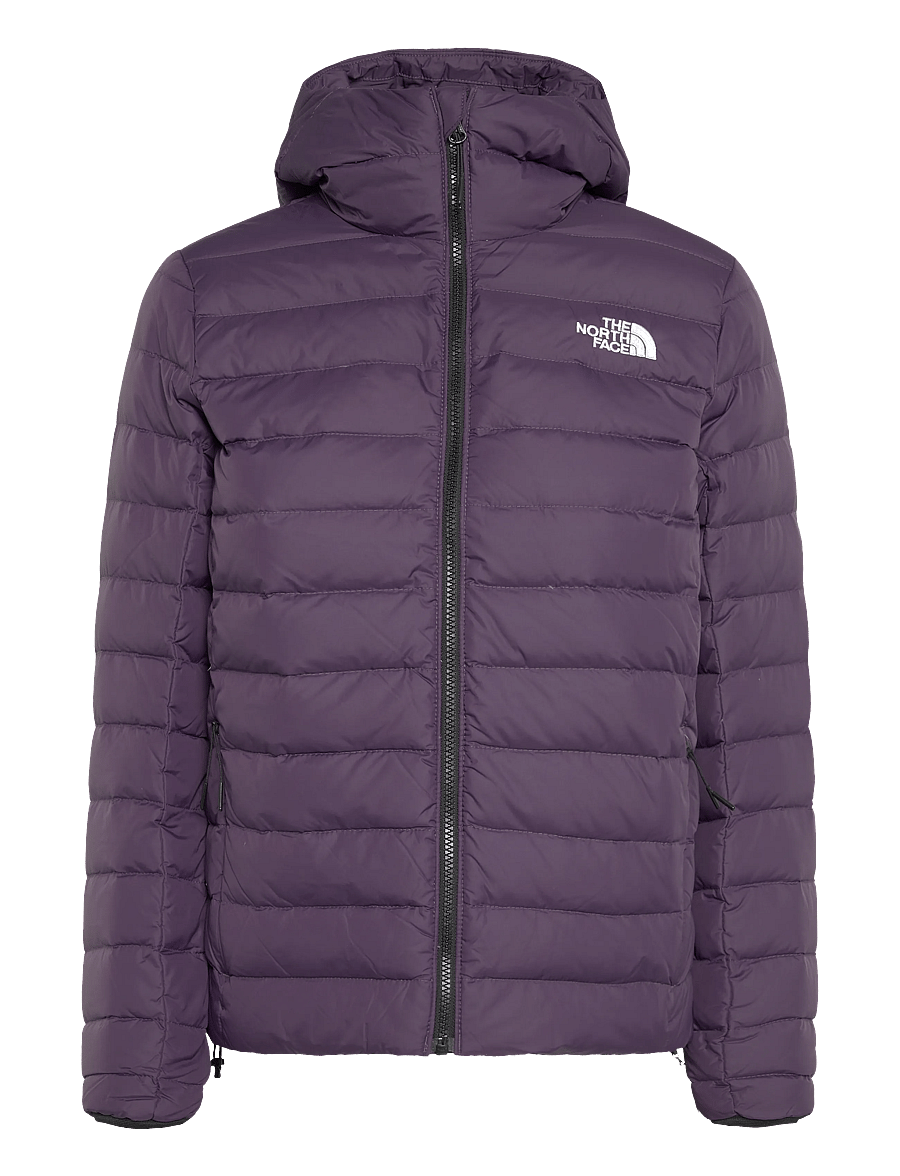 The North Face - W CLASSIC DOWN HOODED JACKET - vinterjackor - endless dusk - 1