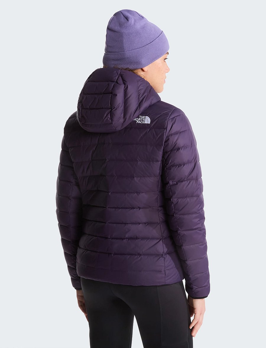 The North Face - W CLASSIC DOWN HOODED JACKET - vinterjackor - endless dusk - 5