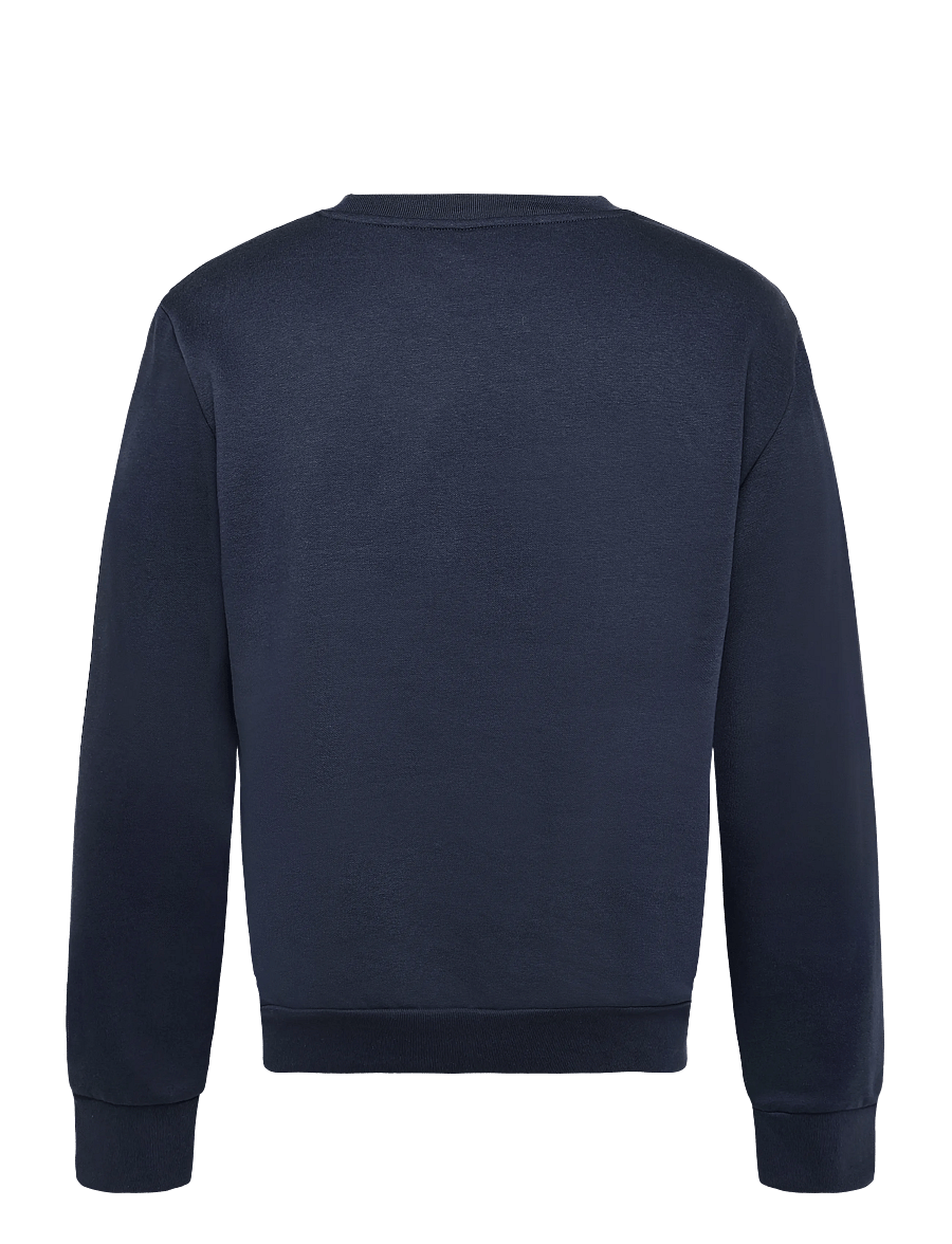The North Face - M EVOLUTION SIMPLE DOME REGULAR CREW - oberteile - summit navy - 2