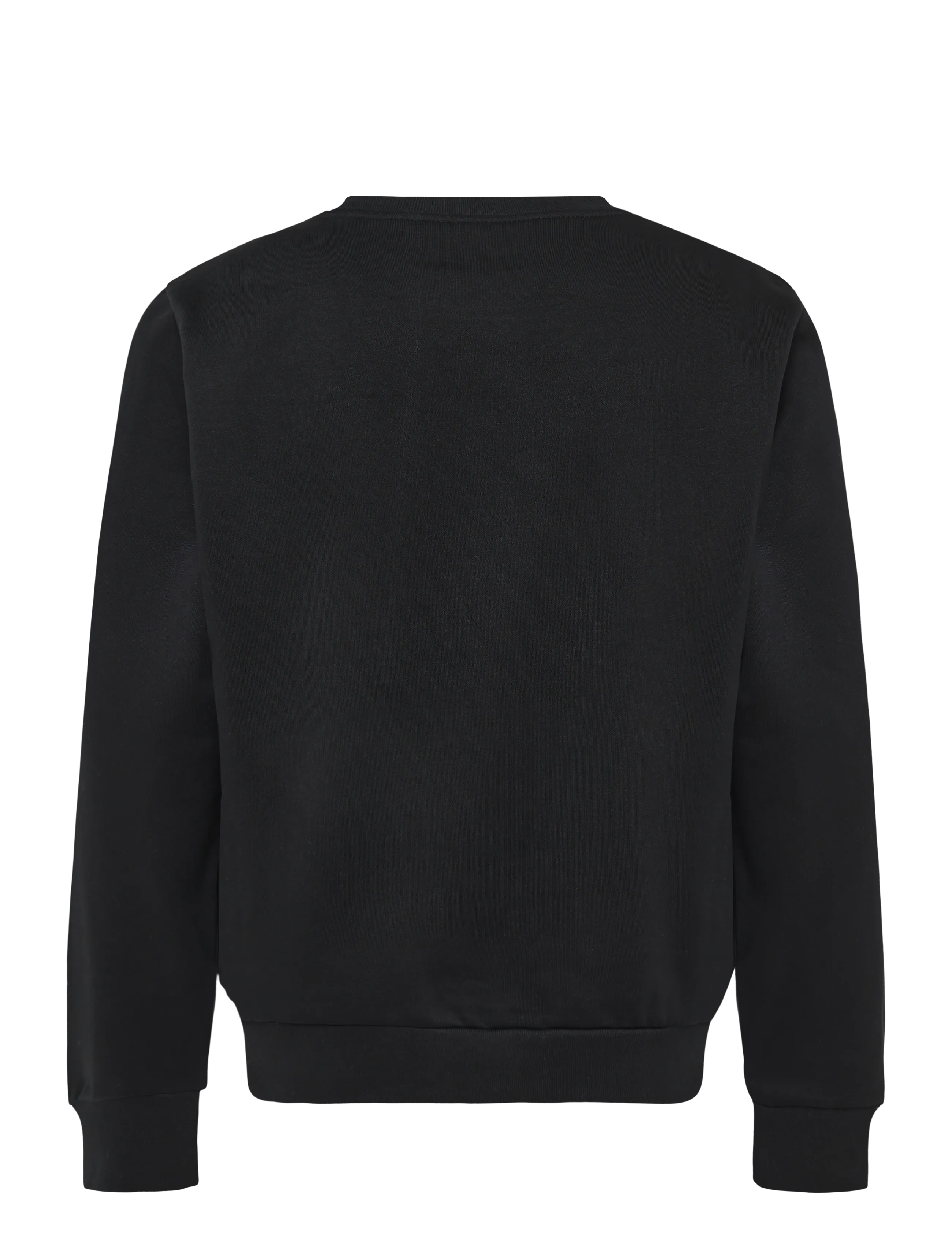 The North Face - M EVOLUTION SIMPLE DOME REGULAR CREW - oberteile - tnf black - 2