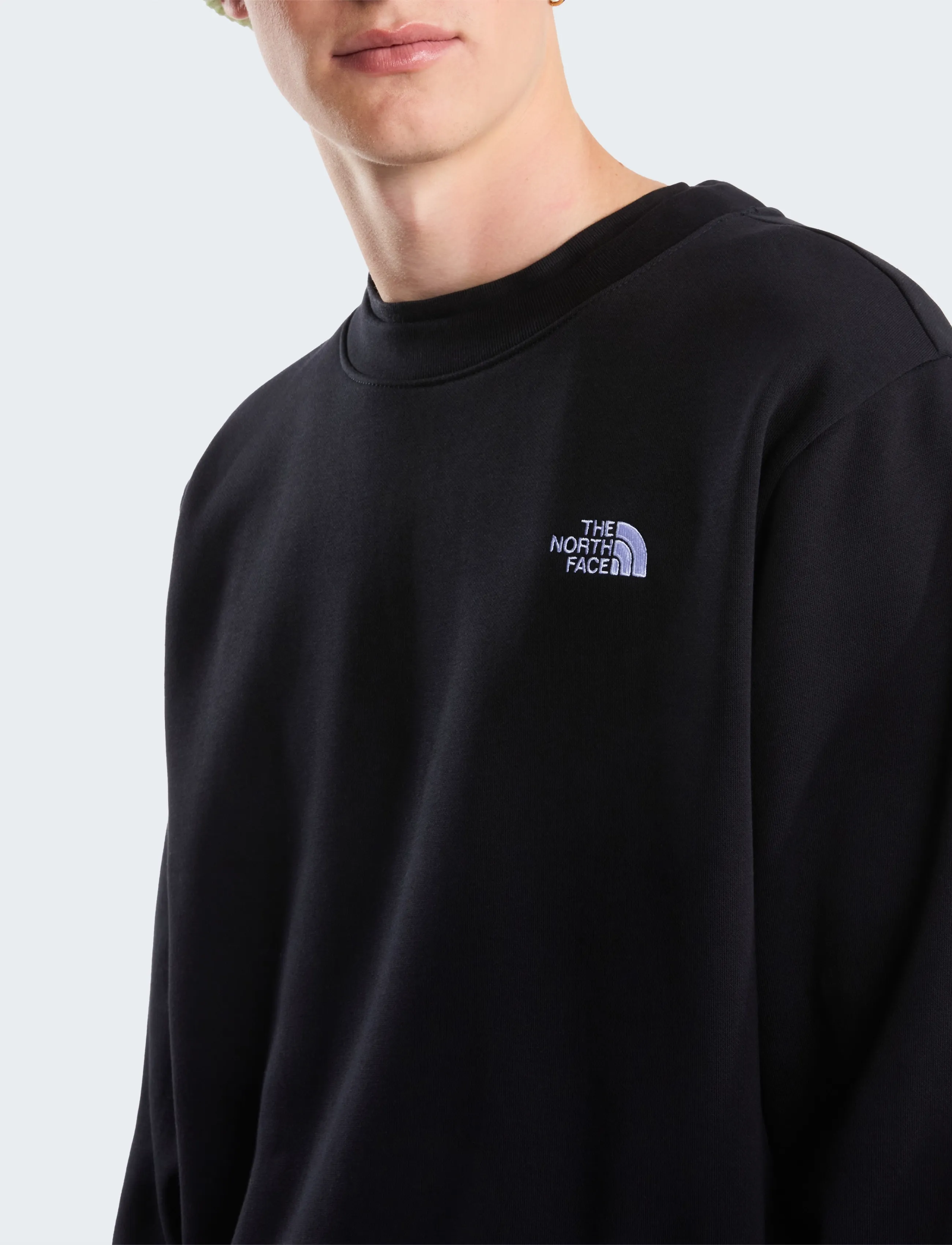 THE NORTH FACE M Evolution Simple Dome Regular Crew sweatshirts herr – bild 5
