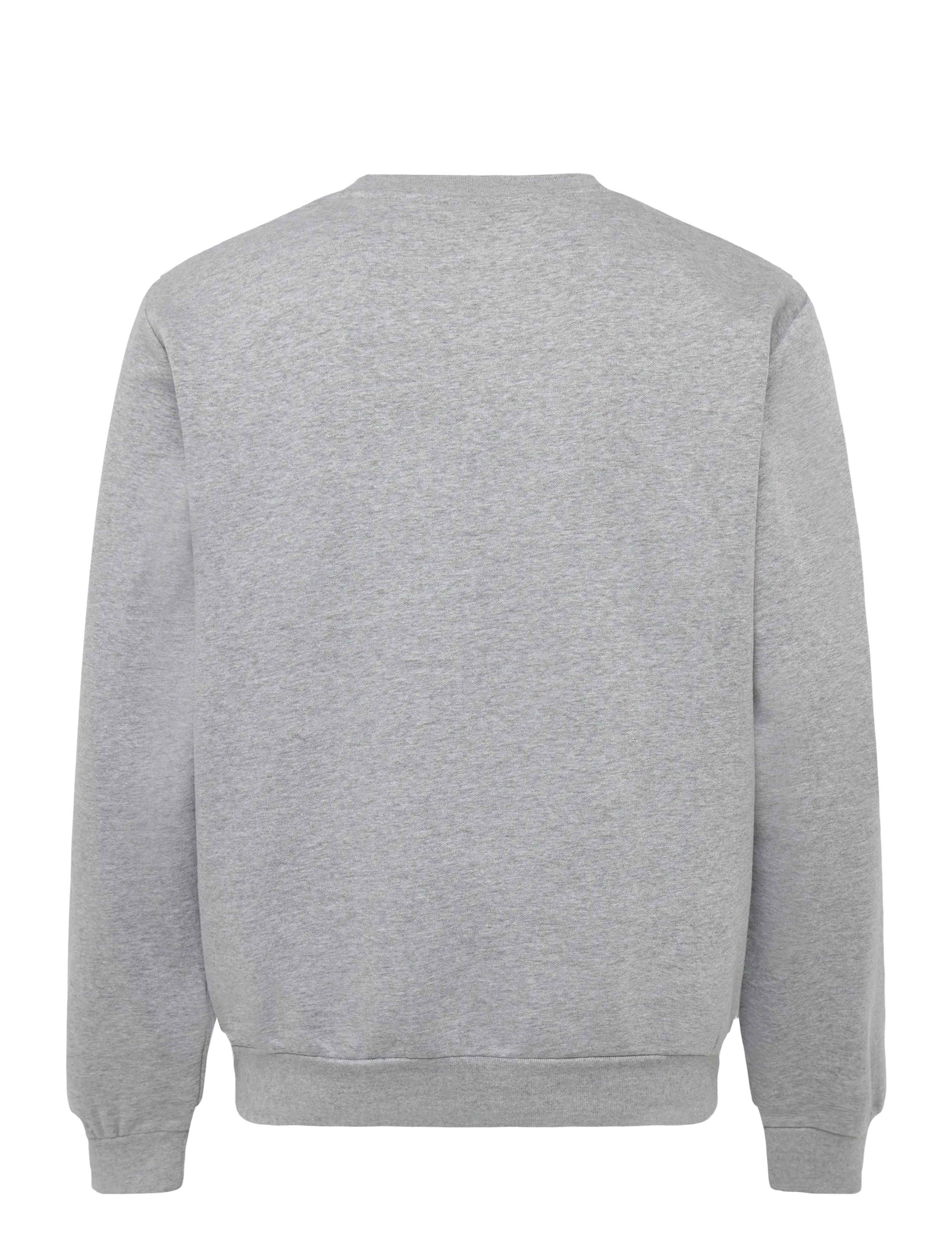 The North Face - M EVOLUTION SIMPLE DOME REGULAR CREW - oberteile - tnf pale grey heather - 2