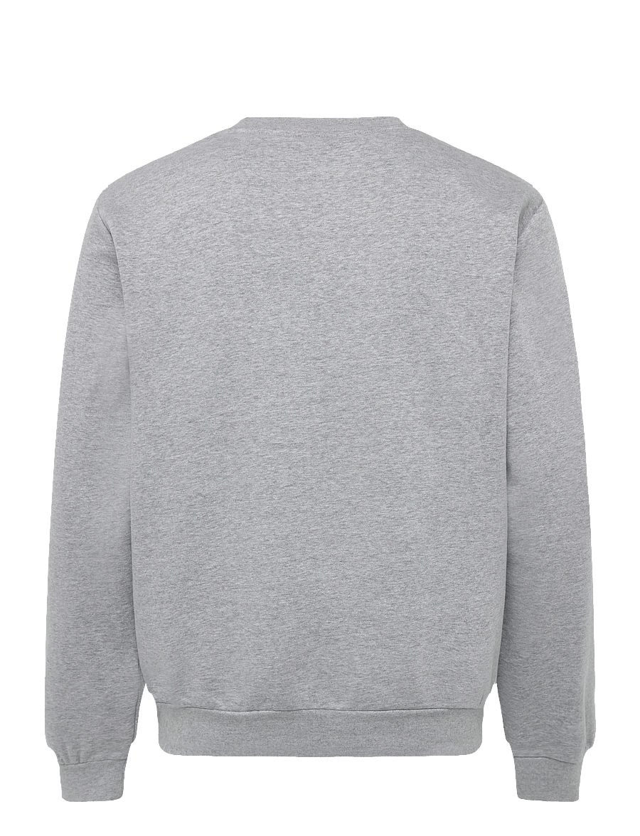 The North Face - M EVOLUTION SIMPLE DOME REGULAR CREW - oberteile - tnf pale grey heather - 2