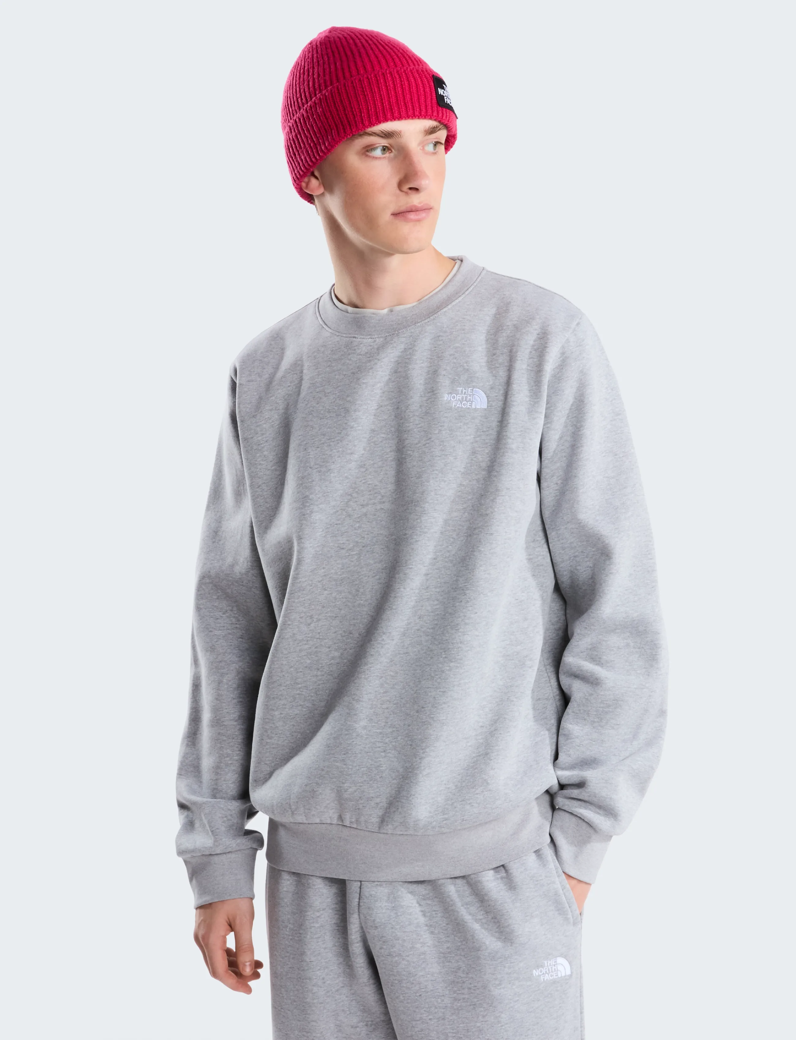 The North Face M EVOLUTION SIMPLE DOME REGULAR CREW - Sweatshirts - TNF PALE GREY HEATHER / grey