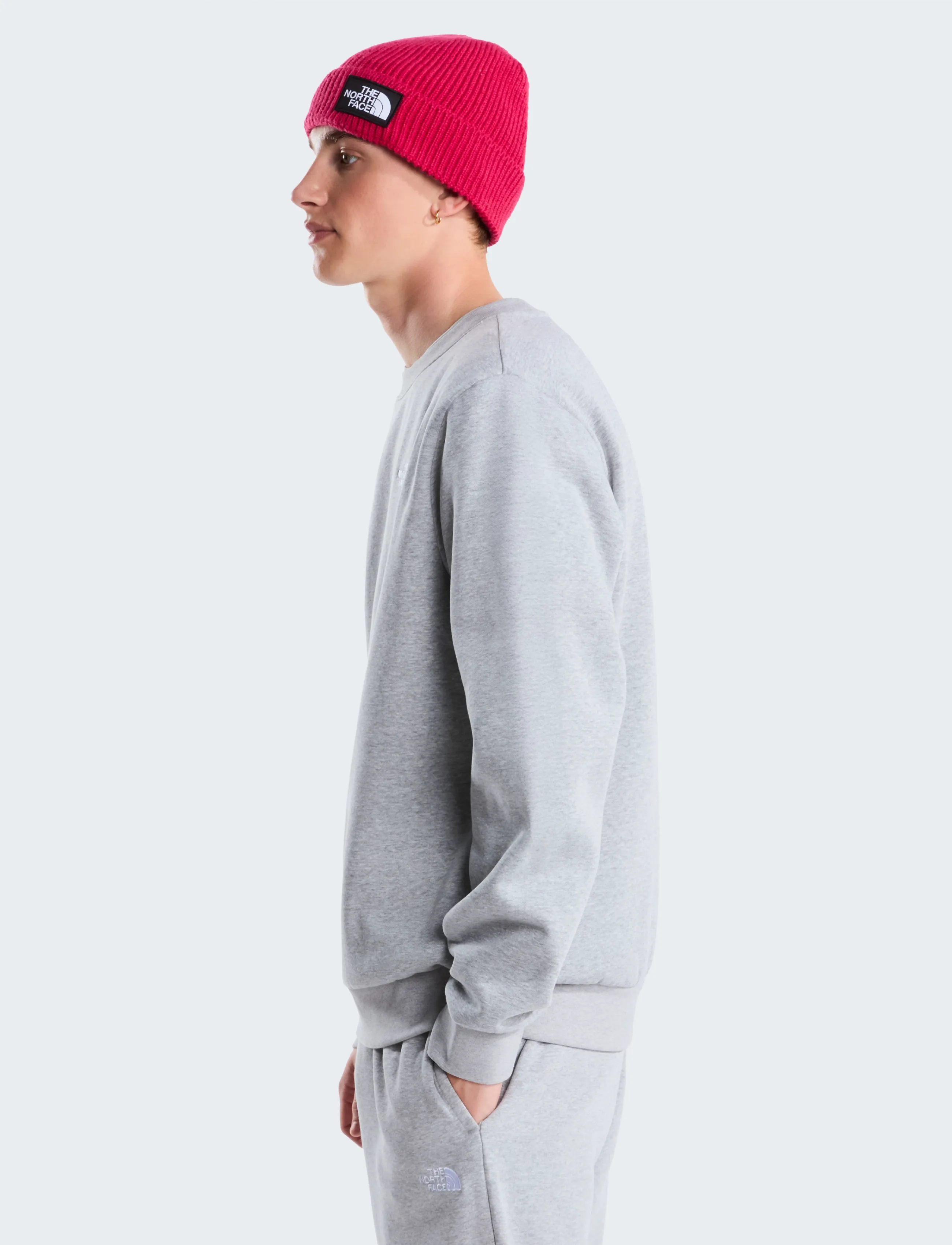 The North Face - M EVOLUTION SIMPLE DOME REGULAR CREW - oberteile - tnf pale grey heather - 4