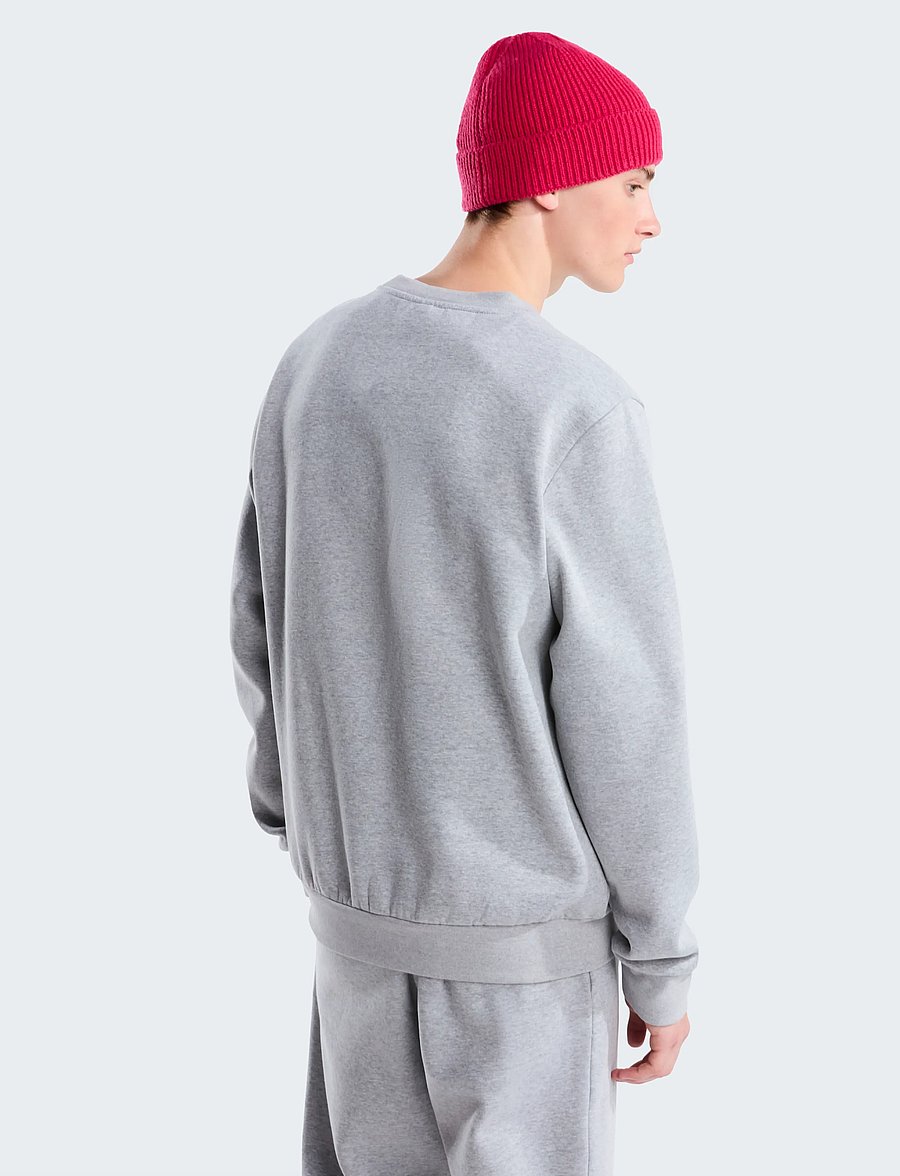 The North Face - M EVOLUTION SIMPLE DOME REGULAR CREW - oberteile - tnf pale grey heather - 5
