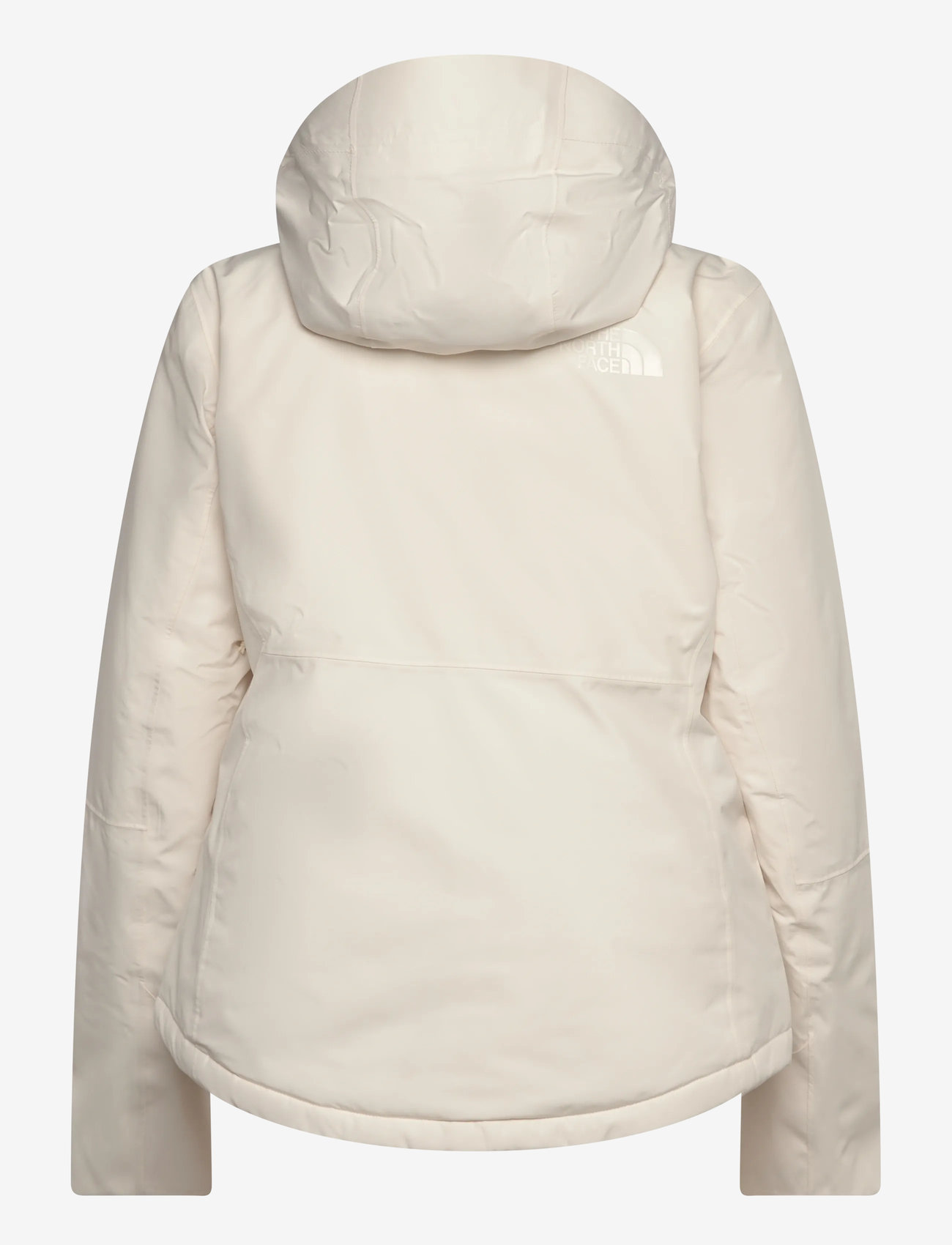 The North Face - W DESCENDIT JACKET - skidkläder - white dune - 1