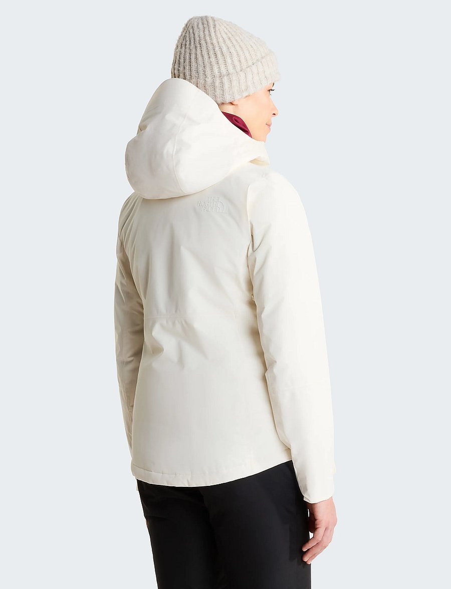 The North Face - W DESCENDIT JACKET - hiihto- & laskettelutakit - white dune - 5