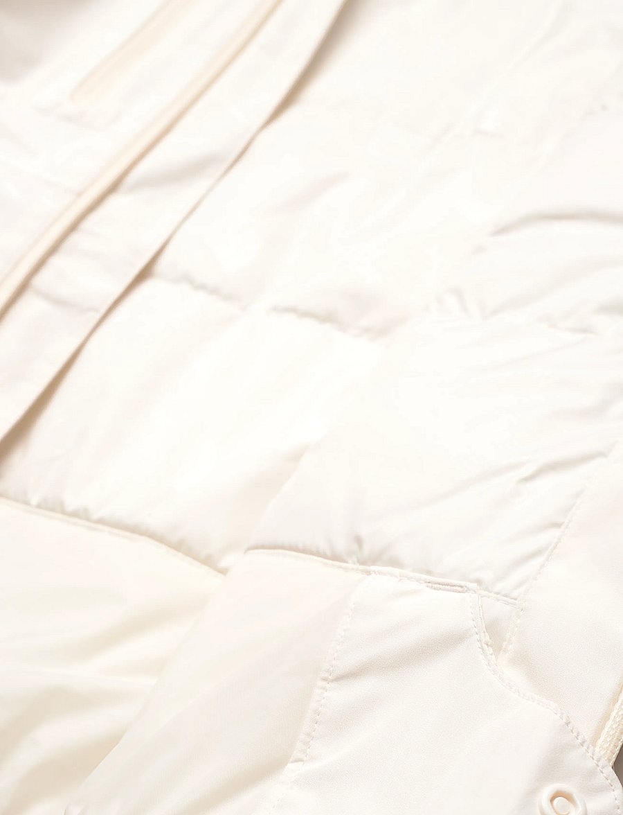 The North Face - W DESCENDIT JACKET - hiihto- & laskettelutakit - white dune - 4