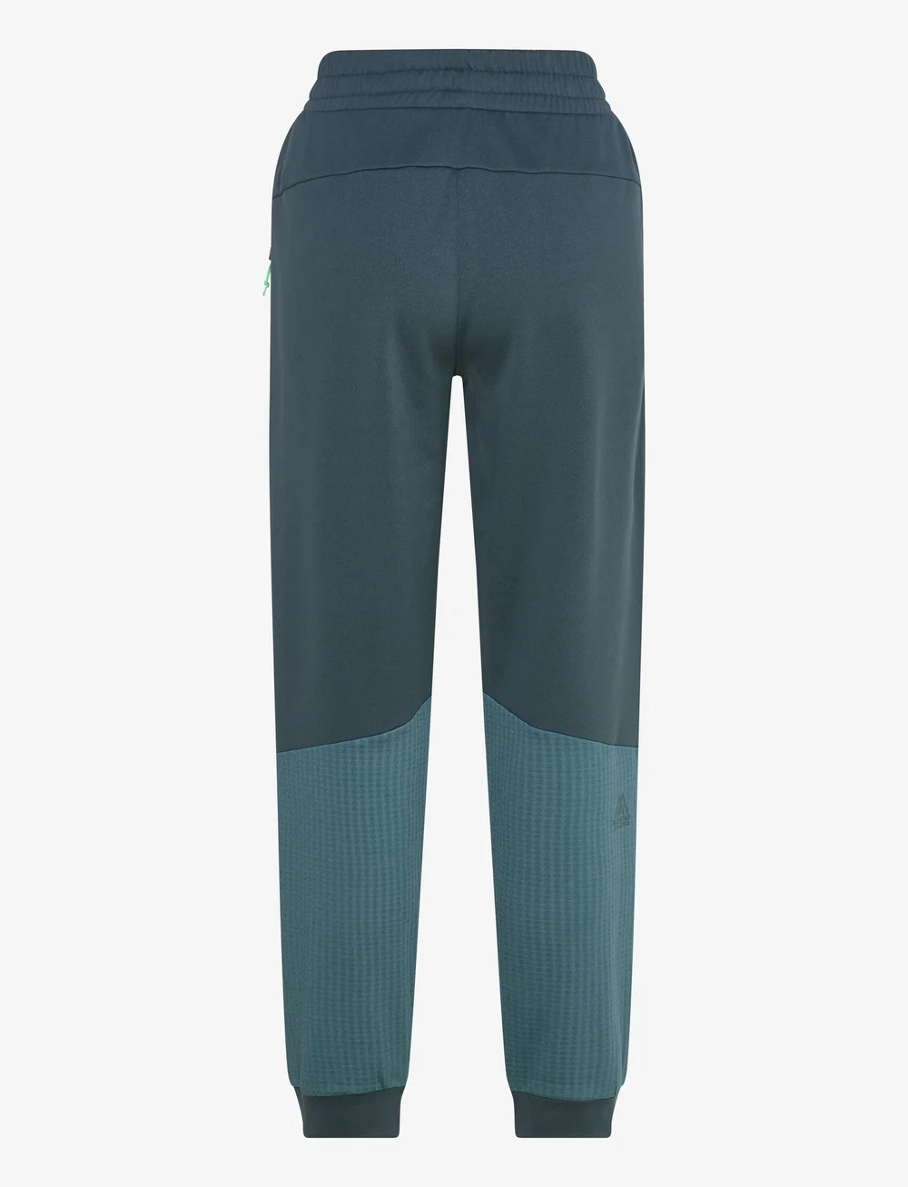 The North Face - W MOUNTAIN ATHLETICS FLEECE PANT - trainingshosen - deep cypress/space - 1