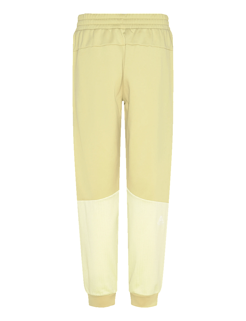 The North Face - W MOUNTAIN ATHLETICS FLEECE PANT - trainingshosen - pear - 2