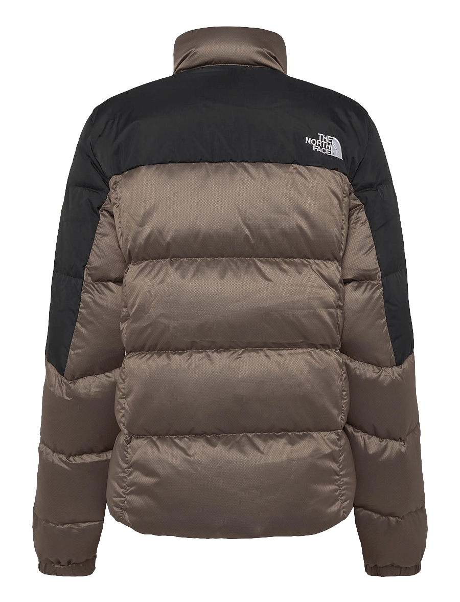 The North Face - W DIABLO DOWN 2.0 JACKET - winterjacken - garnet black heather/tn - 2