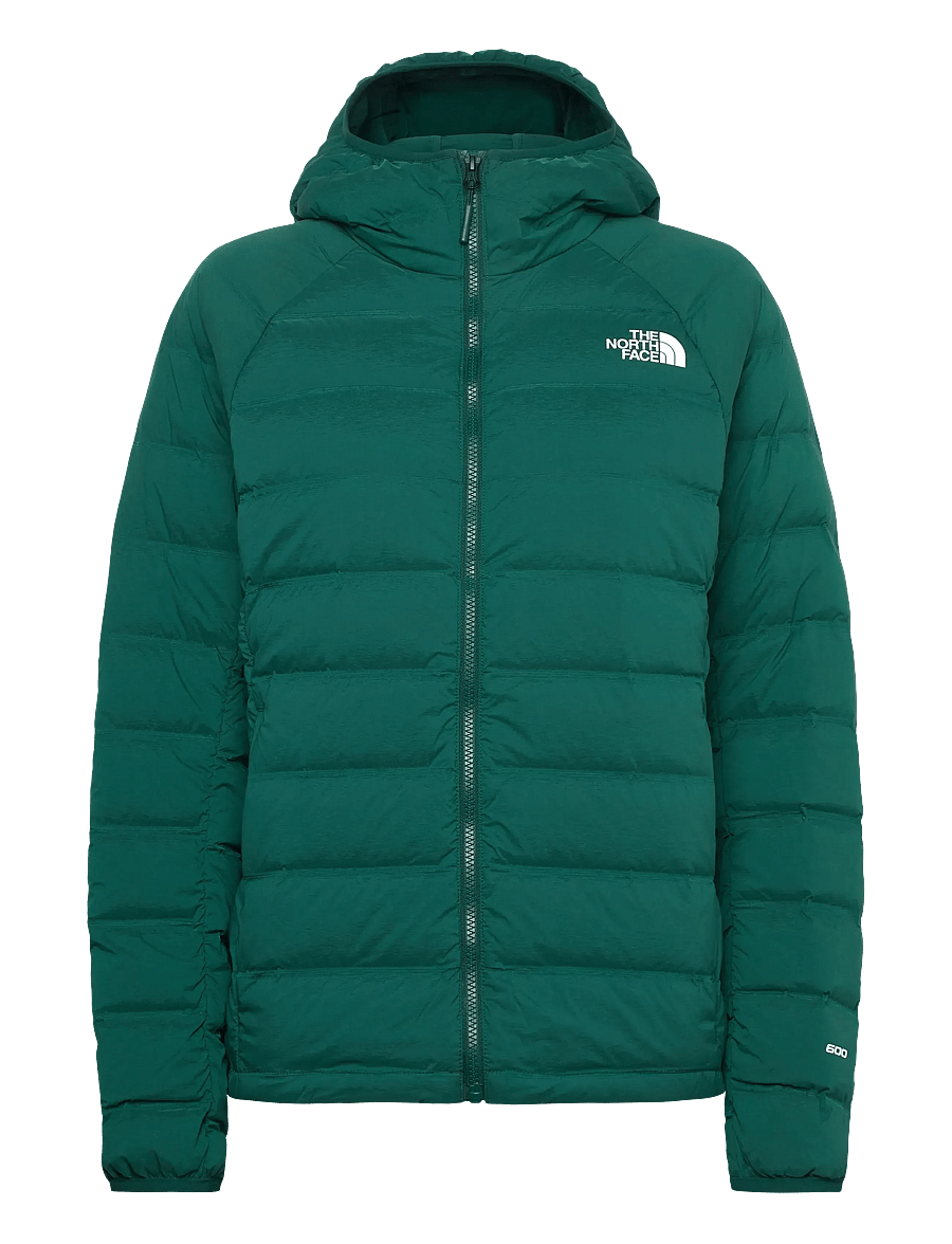 The North Face - W ABSEIL STRETCH DOWN HOODIE - vinterjackor - hunter green - 1