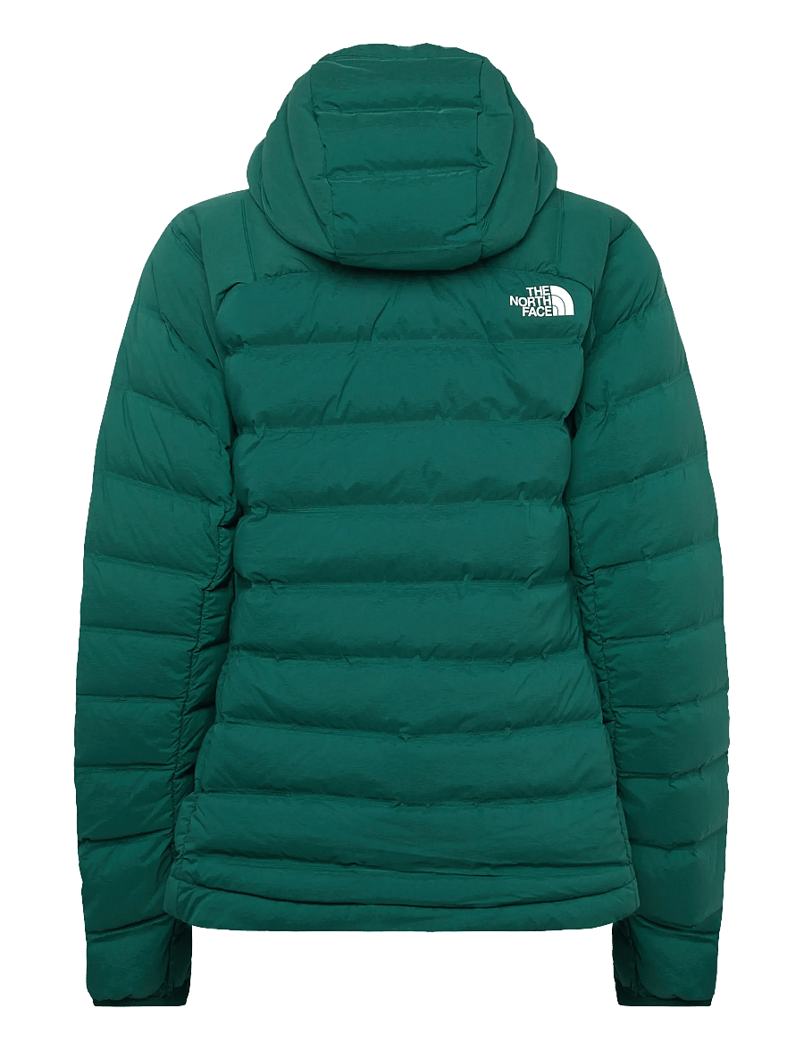 The North Face - W ABSEIL STRETCH DOWN HOODIE - talvitakit - hunter green - 2