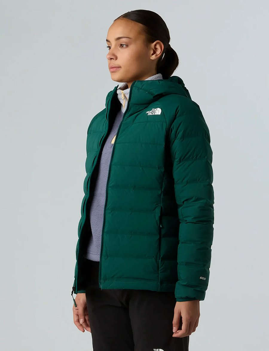 The North Face - W ABSEIL STRETCH DOWN HOODIE - talvitakit - hunter green - 5
