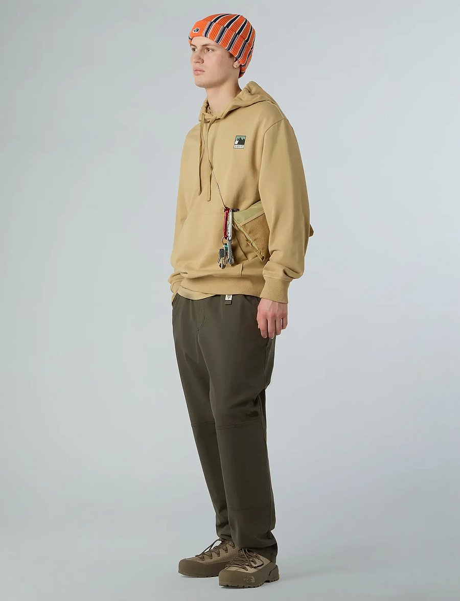 The North Face - M MOUNTAIN LOGO RELAXED HOODED SWEATSHIR - sweatshirts - khaki stone - 3