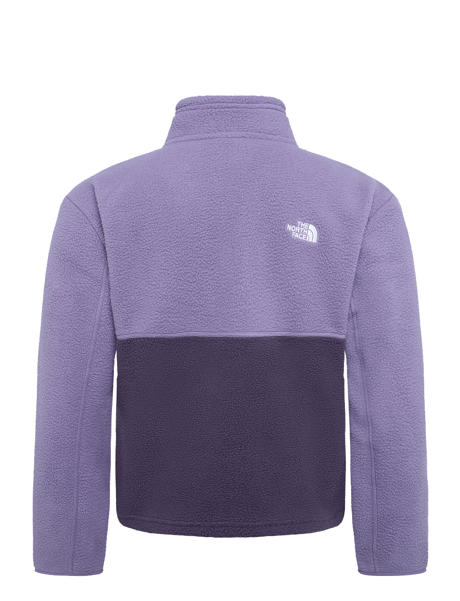 The North Face - W YUMIORI 1/4 ZIP - oberteile - endless dusk/grounded p - 2