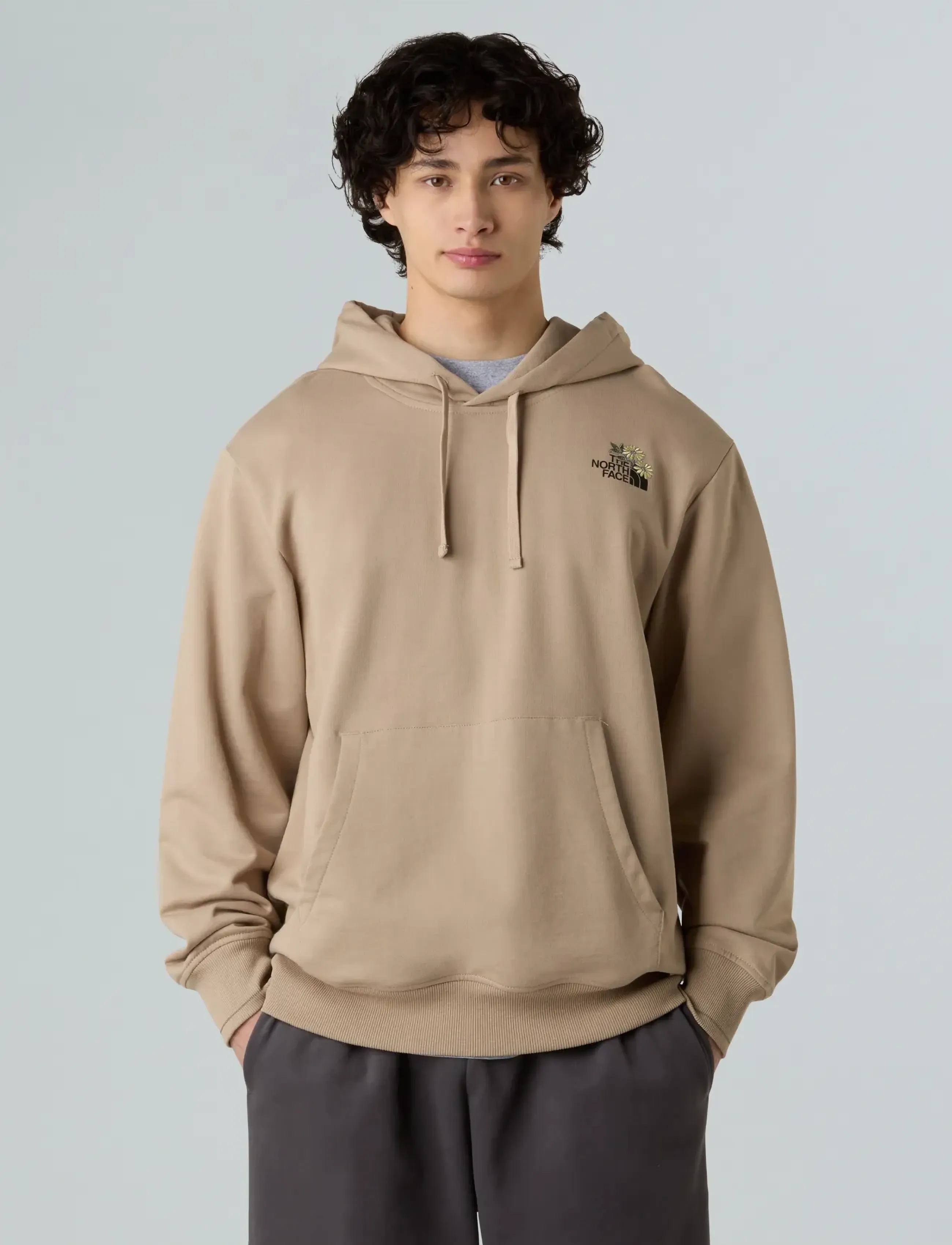 The North Face U FLOWER DOME RELAXED HD SWEATSHIRT-GPH - Kapuzenpullover - MUSHROOM GREY / brown