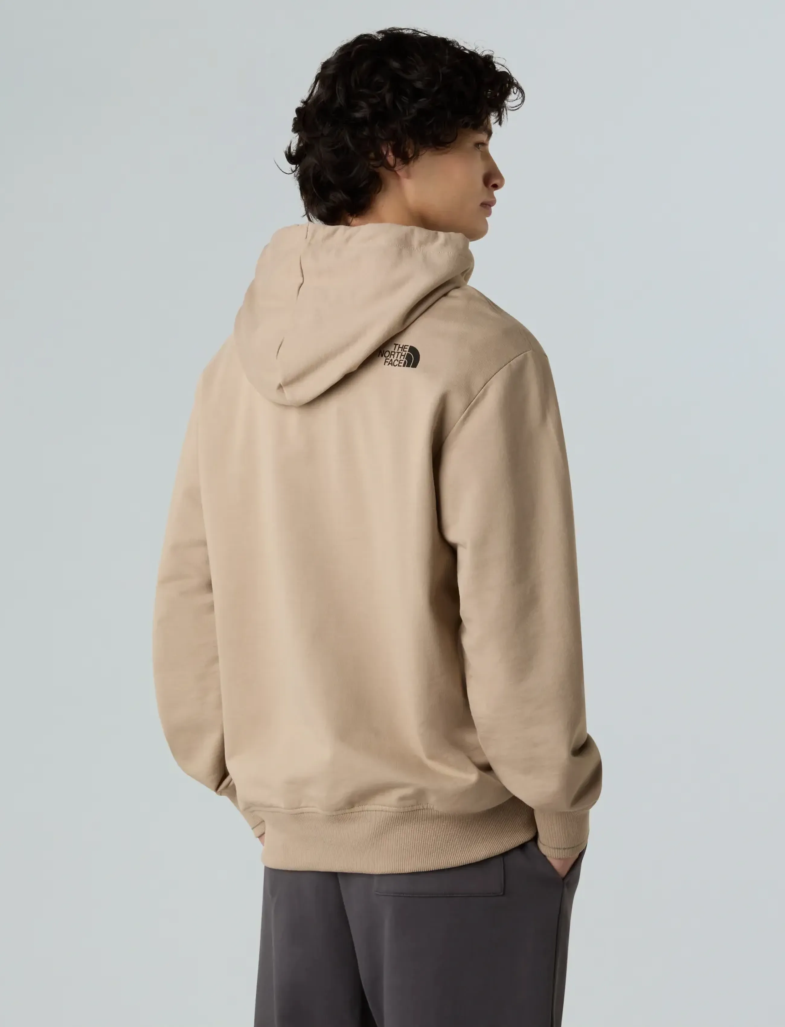 The North Face - U FLOWER DOME RELAXED HD SWEATSHIRT-GPH - pulls a capuche - mushroom grey - 5