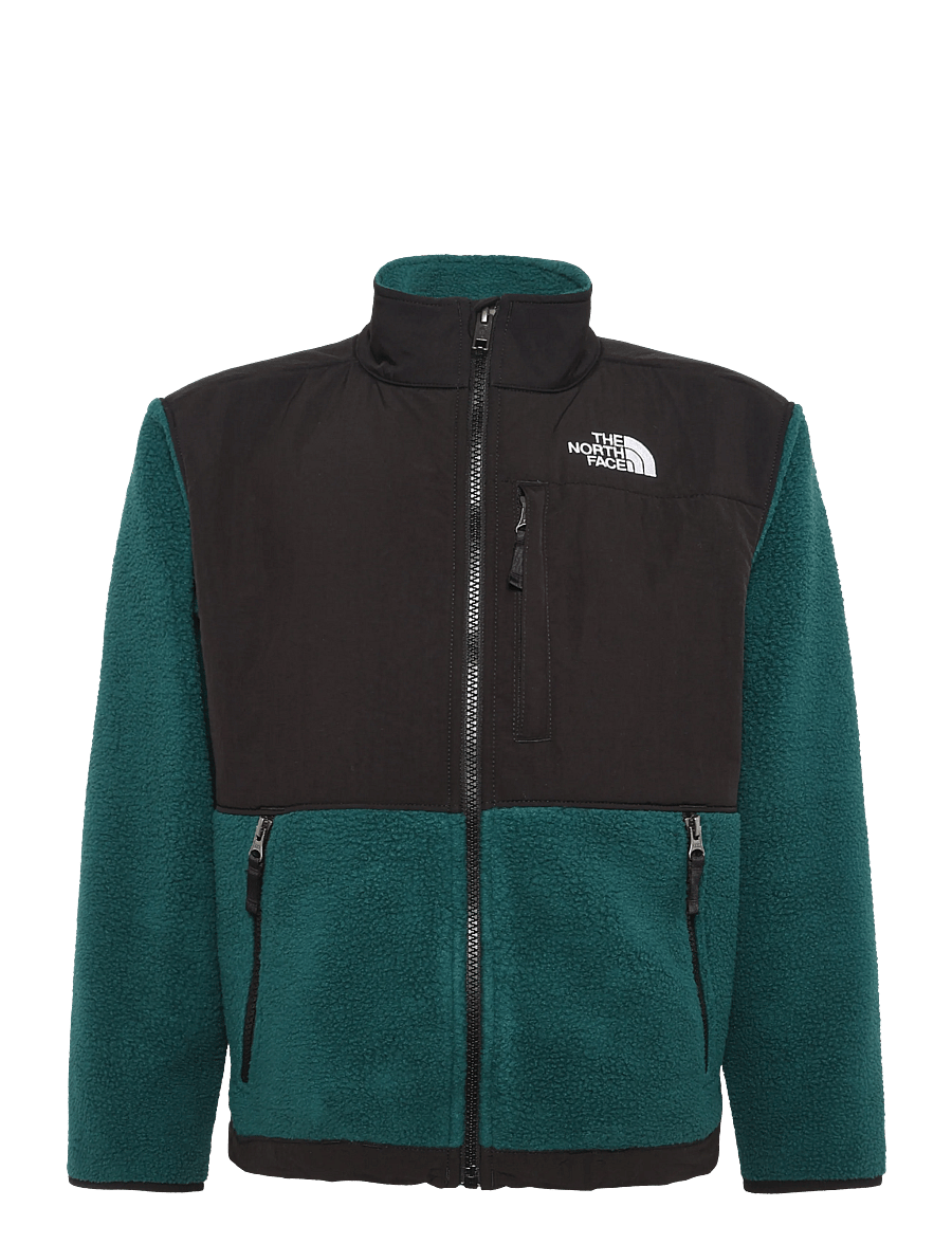 The North Face - TEEN DENALI JACKET - paksud joped - pacific teal - 1