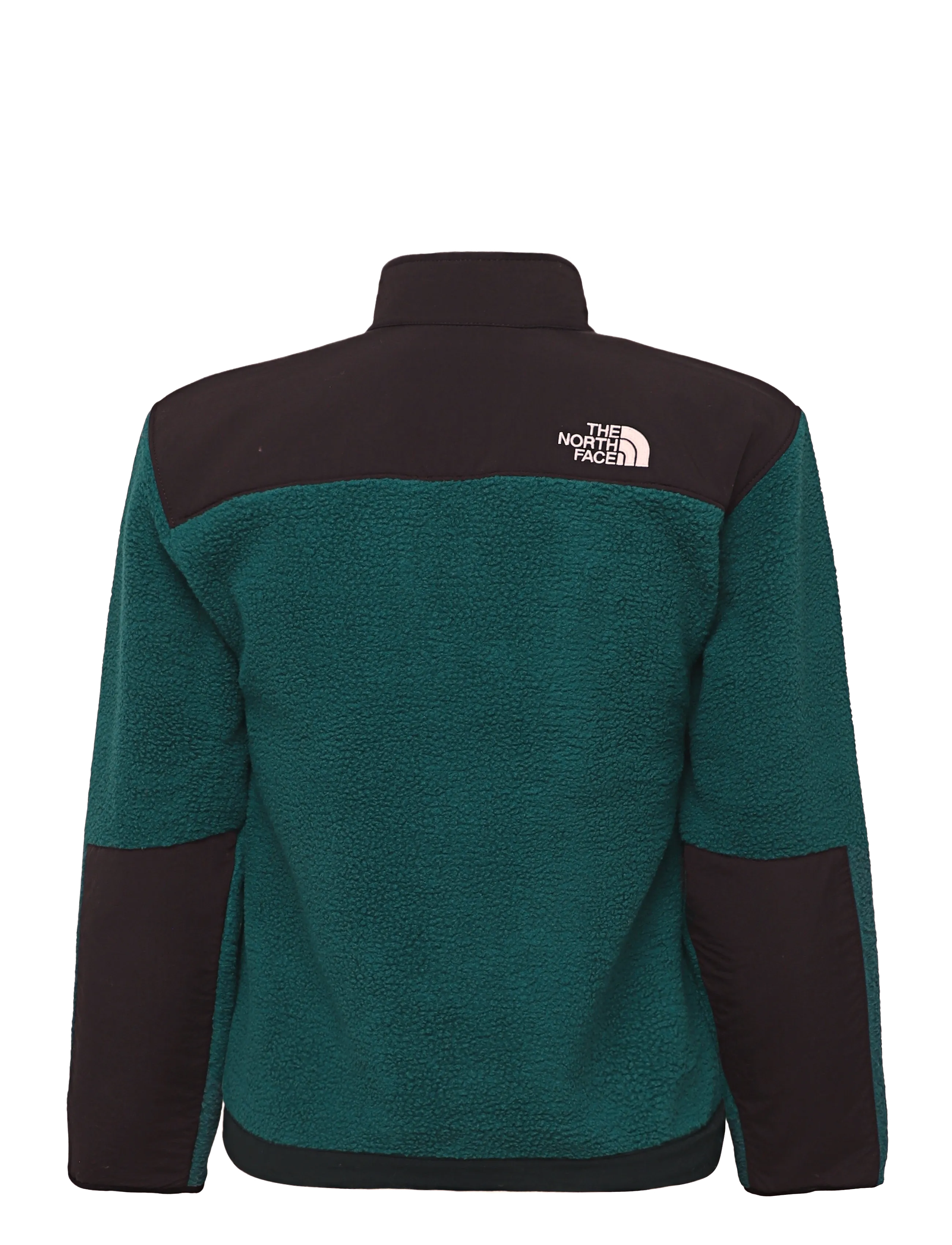The North Face - TEEN DENALI JACKET - paksud joped - pacific teal - 2