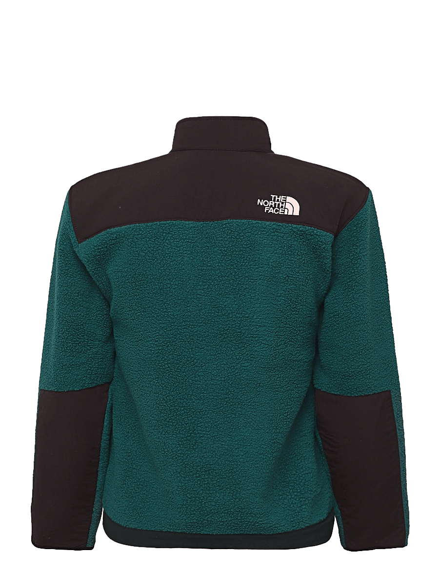 The North Face - TEEN DENALI JACKET - paksud joped - pacific teal - 2