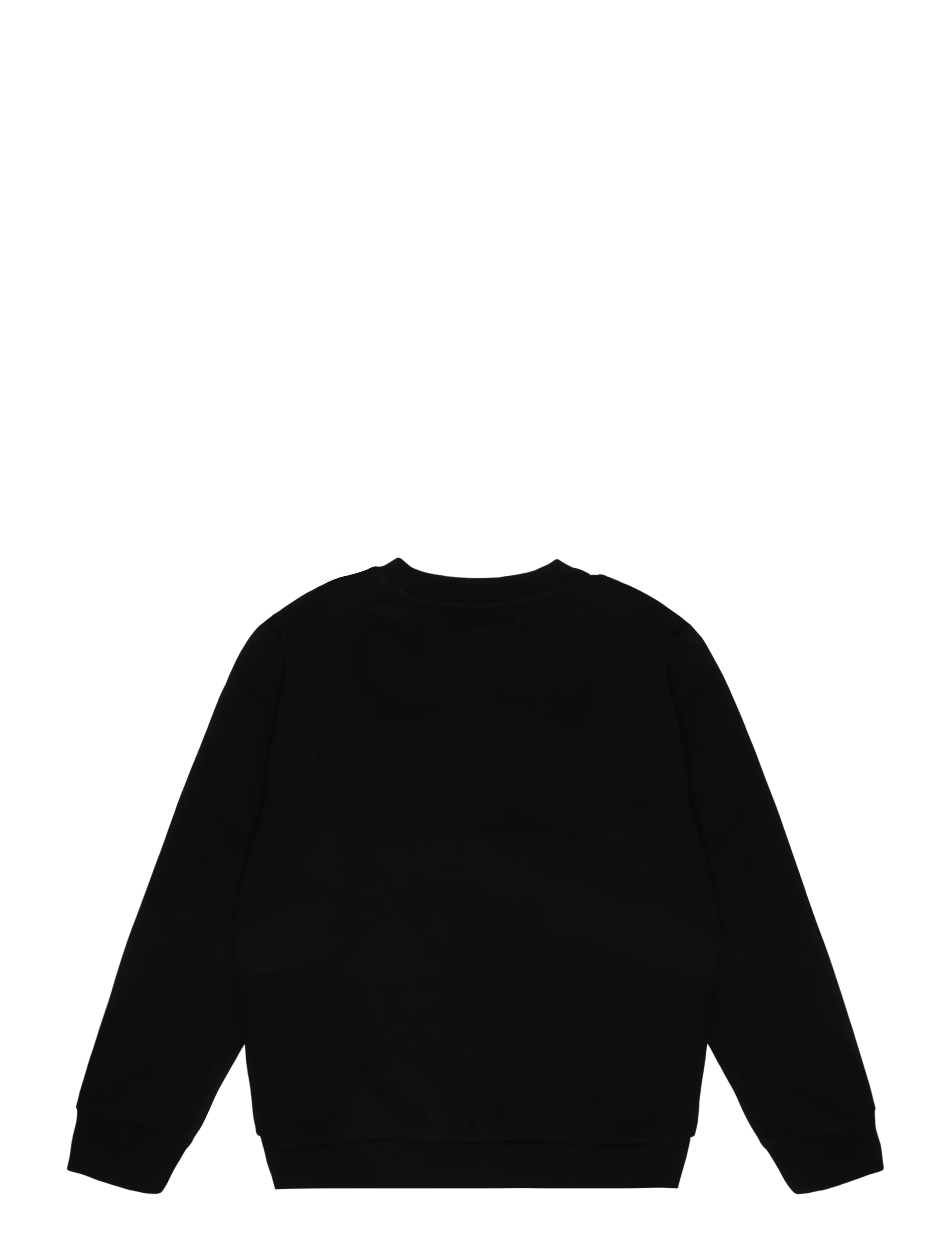 The North Face - TEEN EVOLUTION SIMPLE DOME CREW - sweatshirts - tnf black - 2