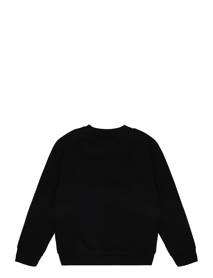 The North Face - TEEN EVOLUTION SIMPLE DOME CREW - sweatshirts - tnf black - 2