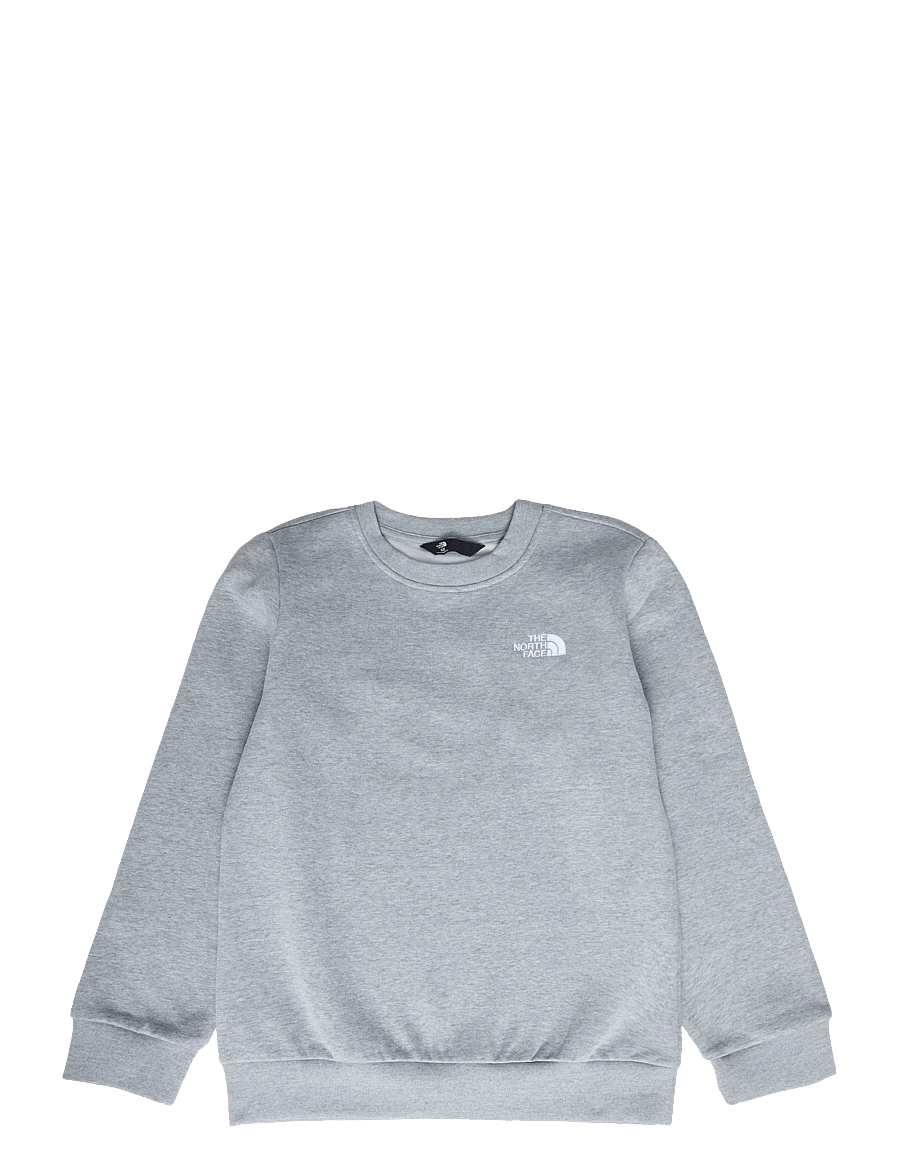 The North Face - TEEN EVOLUTION SIMPLE DOME CREW - sweatshirts - tnf pale grey heather - 1