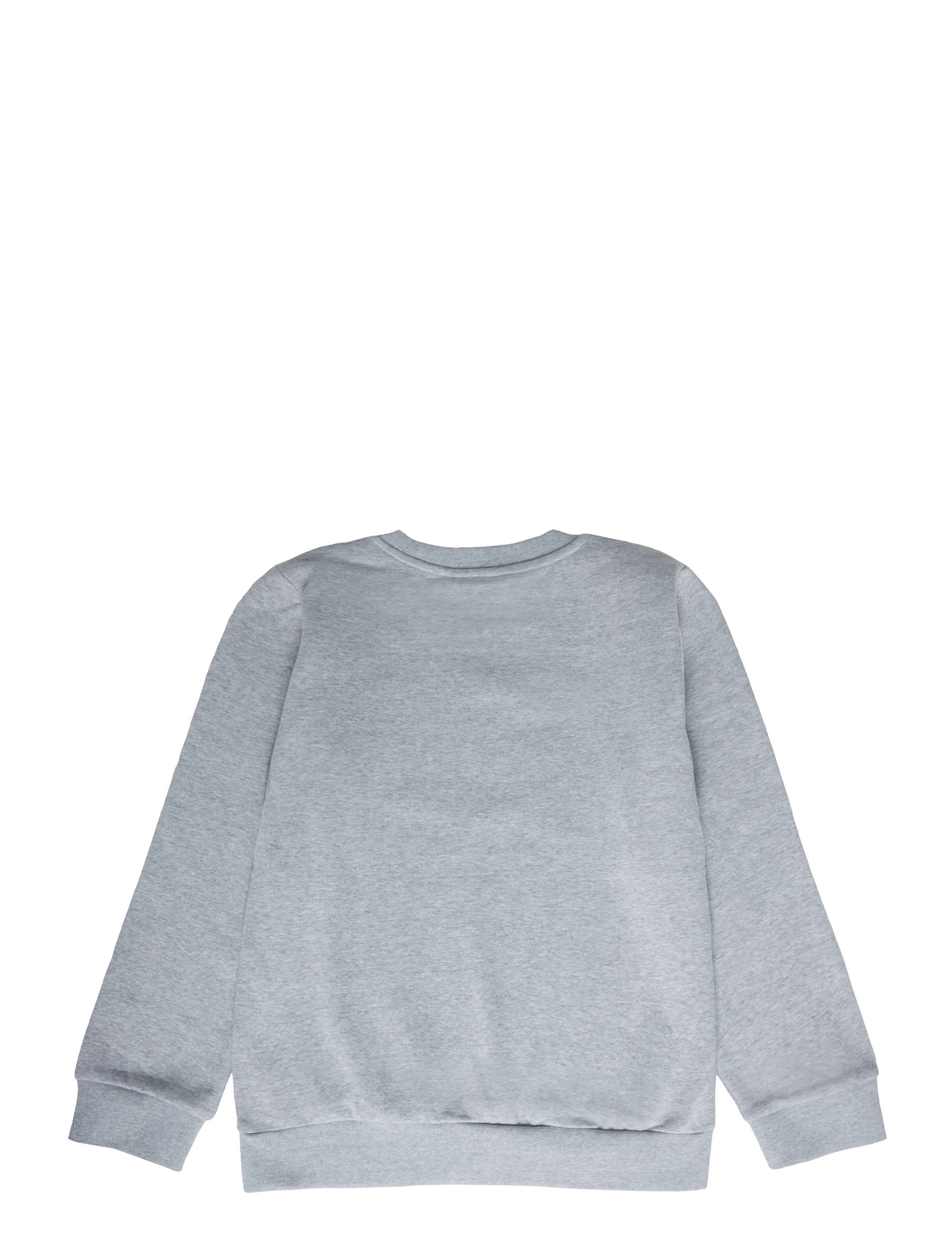 The North Face - TEEN EVOLUTION SIMPLE DOME CREW - sweatshirts - tnf pale grey heather - 2