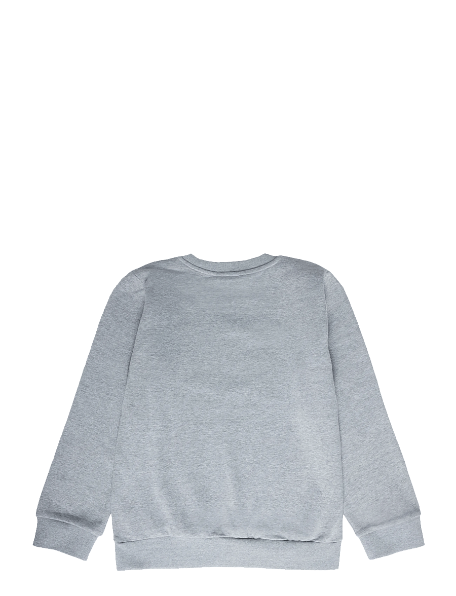The North Face - TEEN EVOLUTION SIMPLE DOME CREW - sweatshirts - tnf pale grey heather - 2
