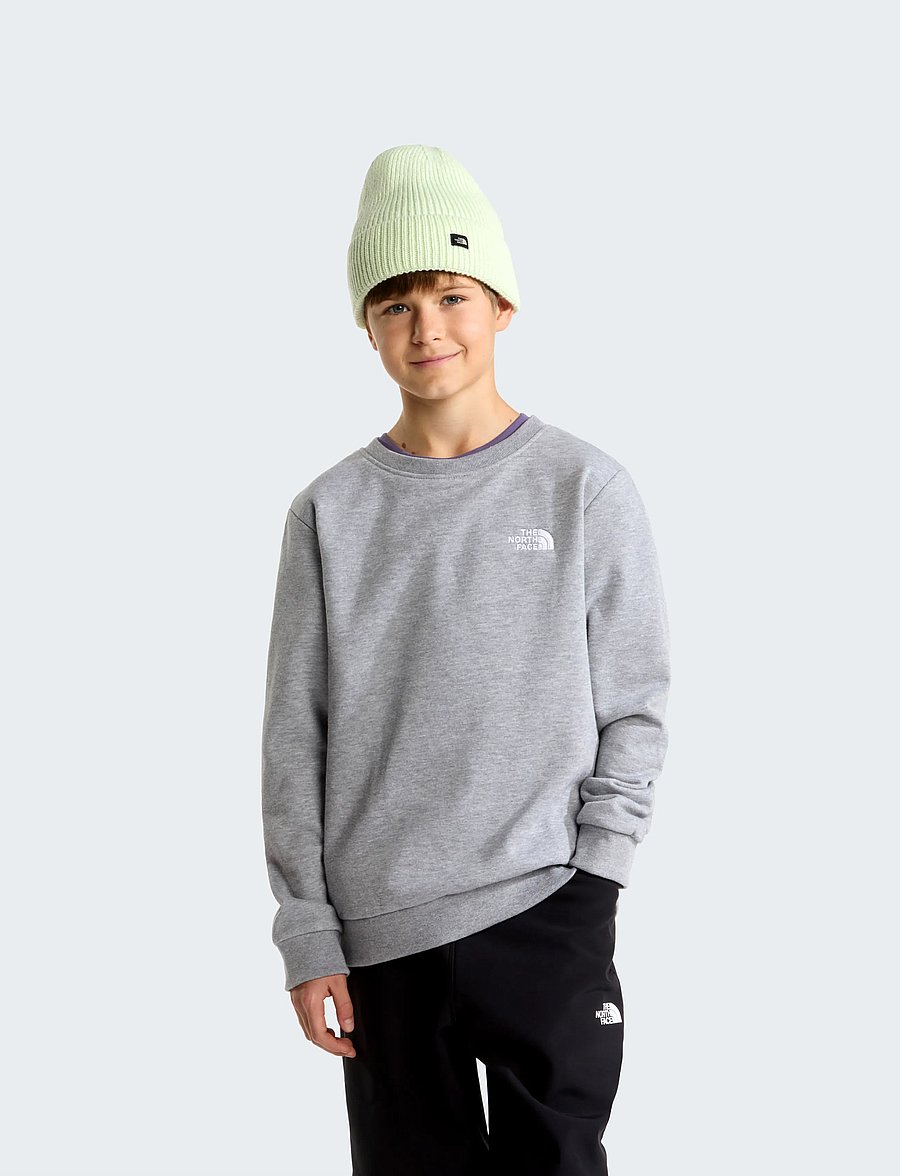 The North Face - TEEN EVOLUTION SIMPLE DOME CREW - sweatshirts - tnf pale grey heather - 0