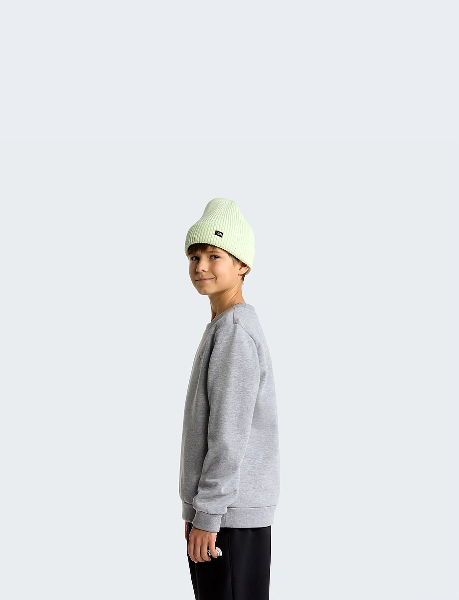 The North Face - TEEN EVOLUTION SIMPLE DOME CREW - sweatshirts - tnf pale grey heather - 4