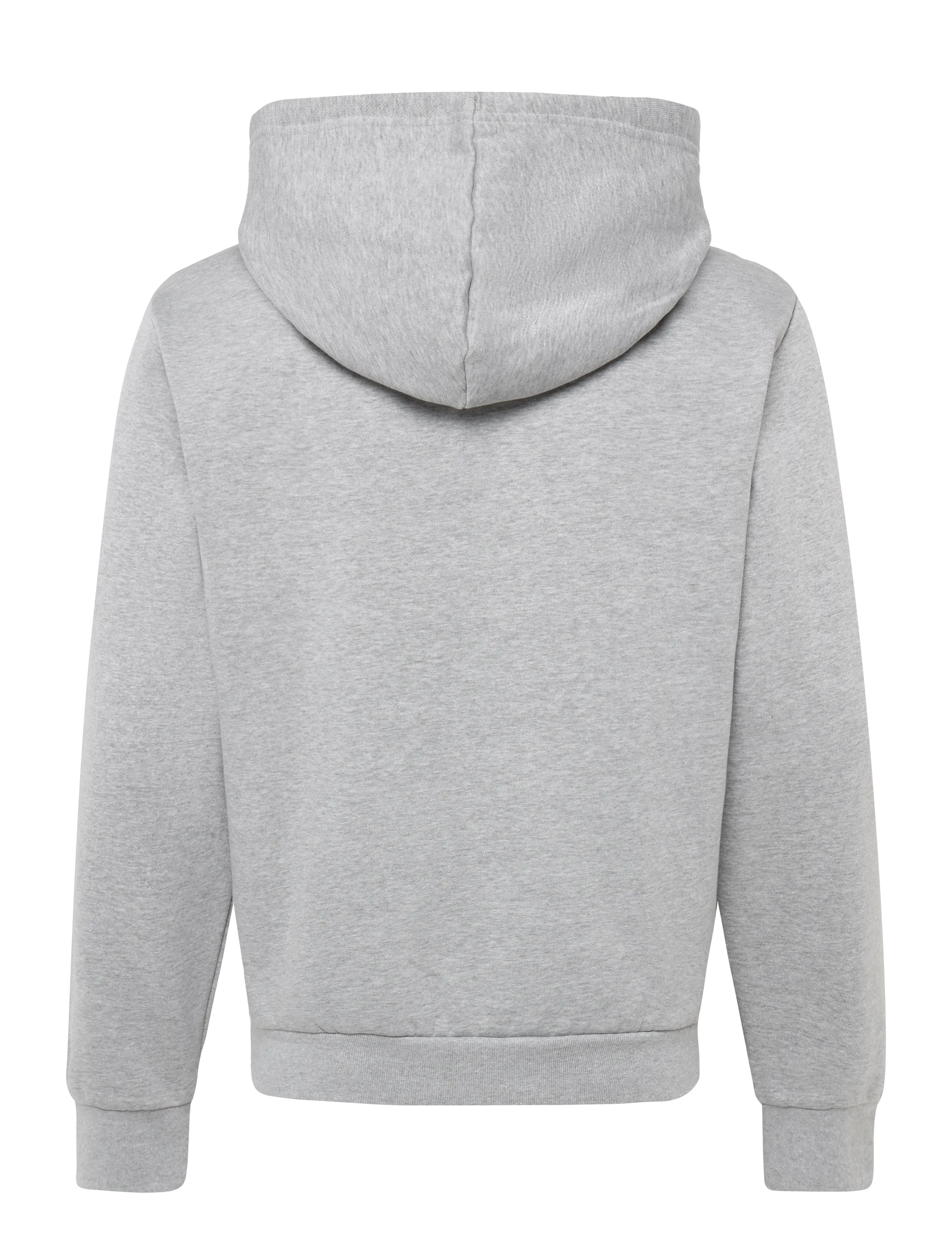 The North Face - M EVOLUTION SIMPLE DOME REGULAR FULL ZIP - sweatshirts - tnf pale grey heather - 2